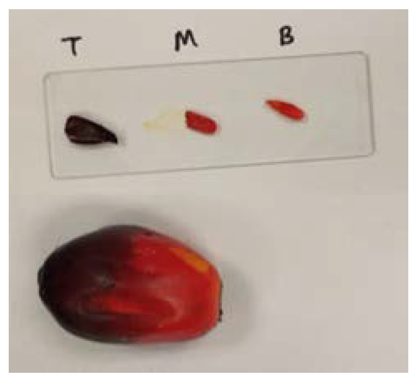 Plants 11 01936 g002 Plants 11 01936 g002