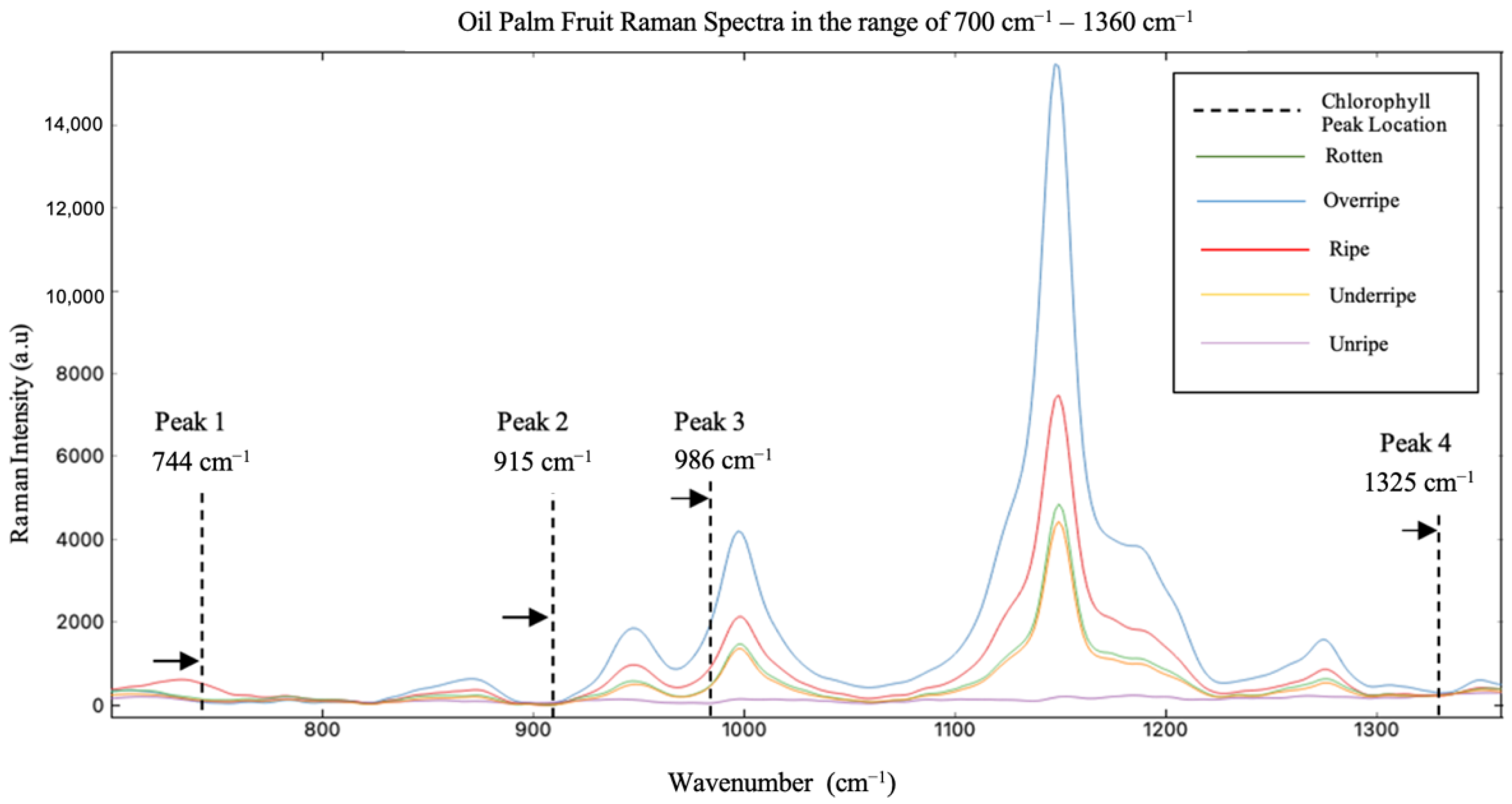 Plants 11 01936 g004 Plants 11 01936 g004