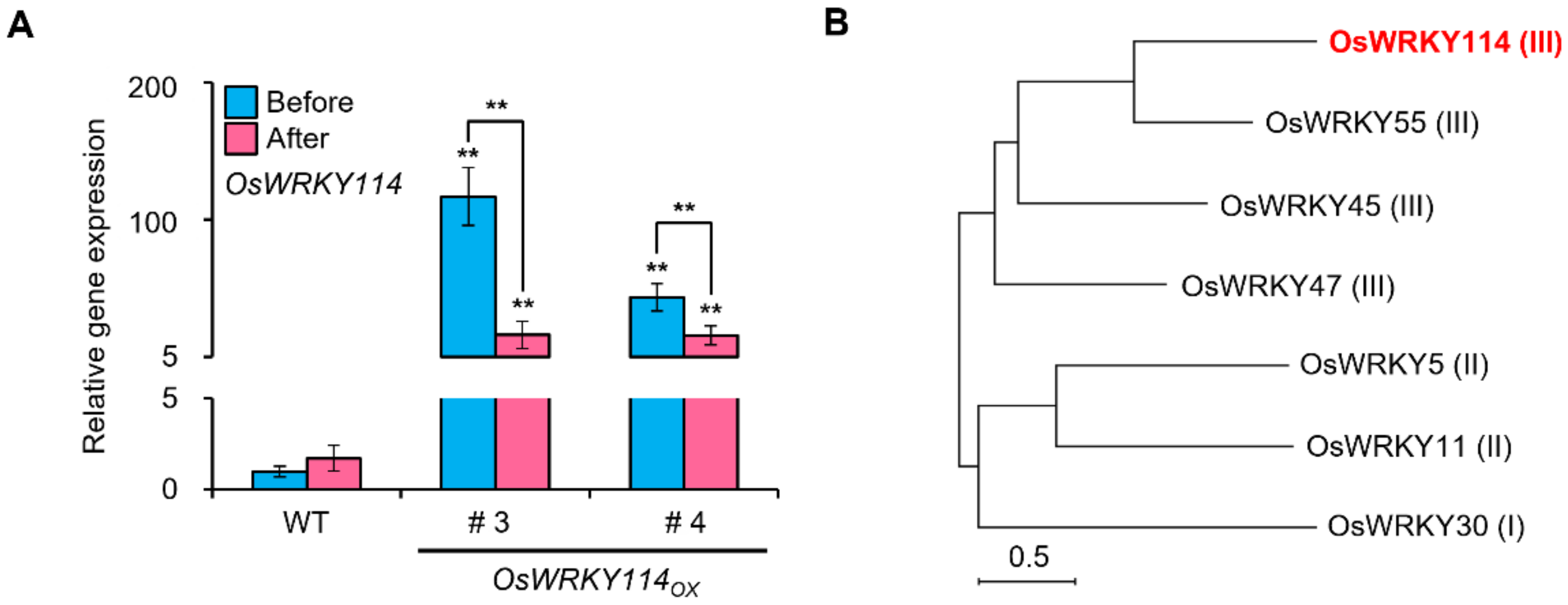 Plants 11 01938 g001 550