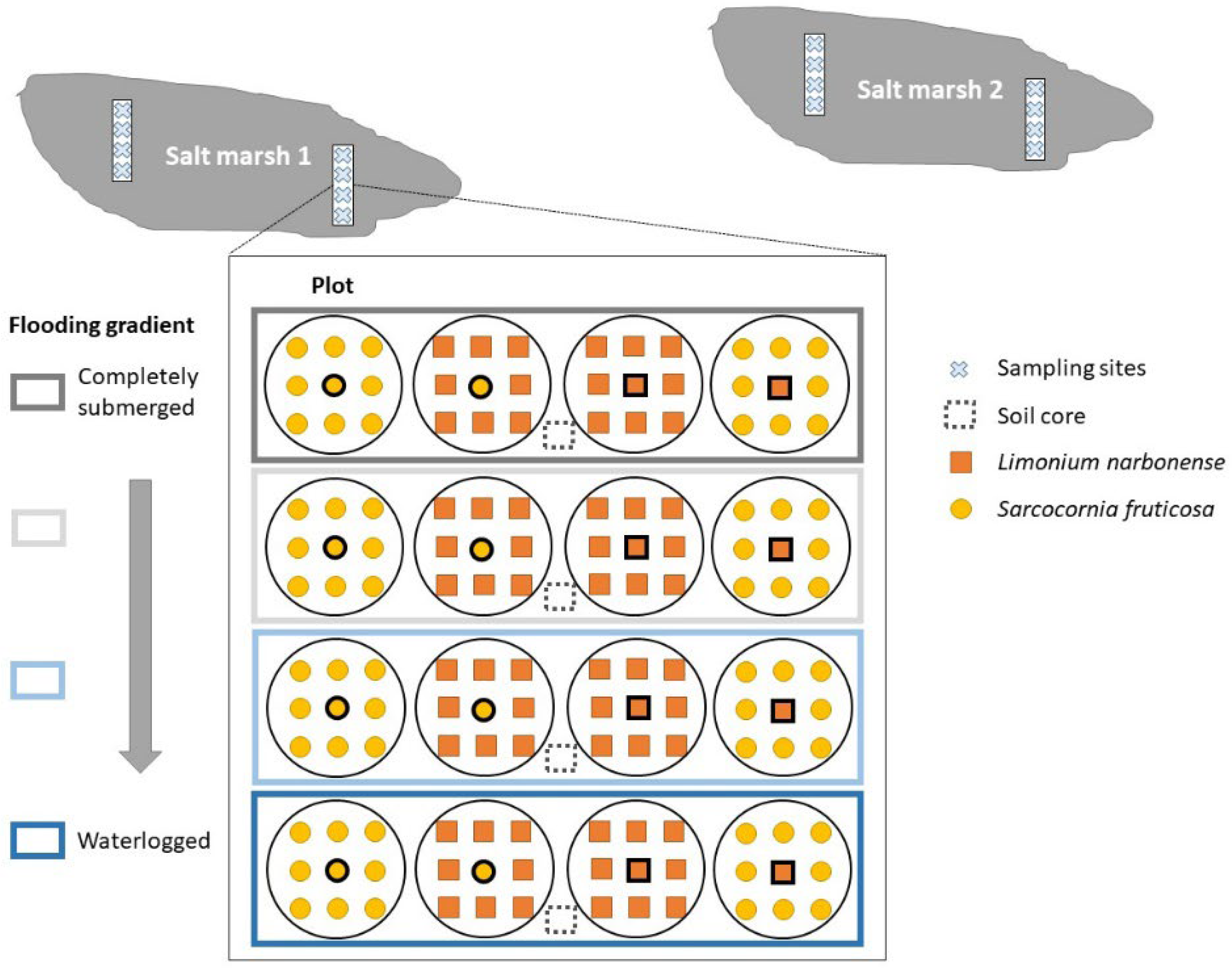 Plants 11 01940 g006 550