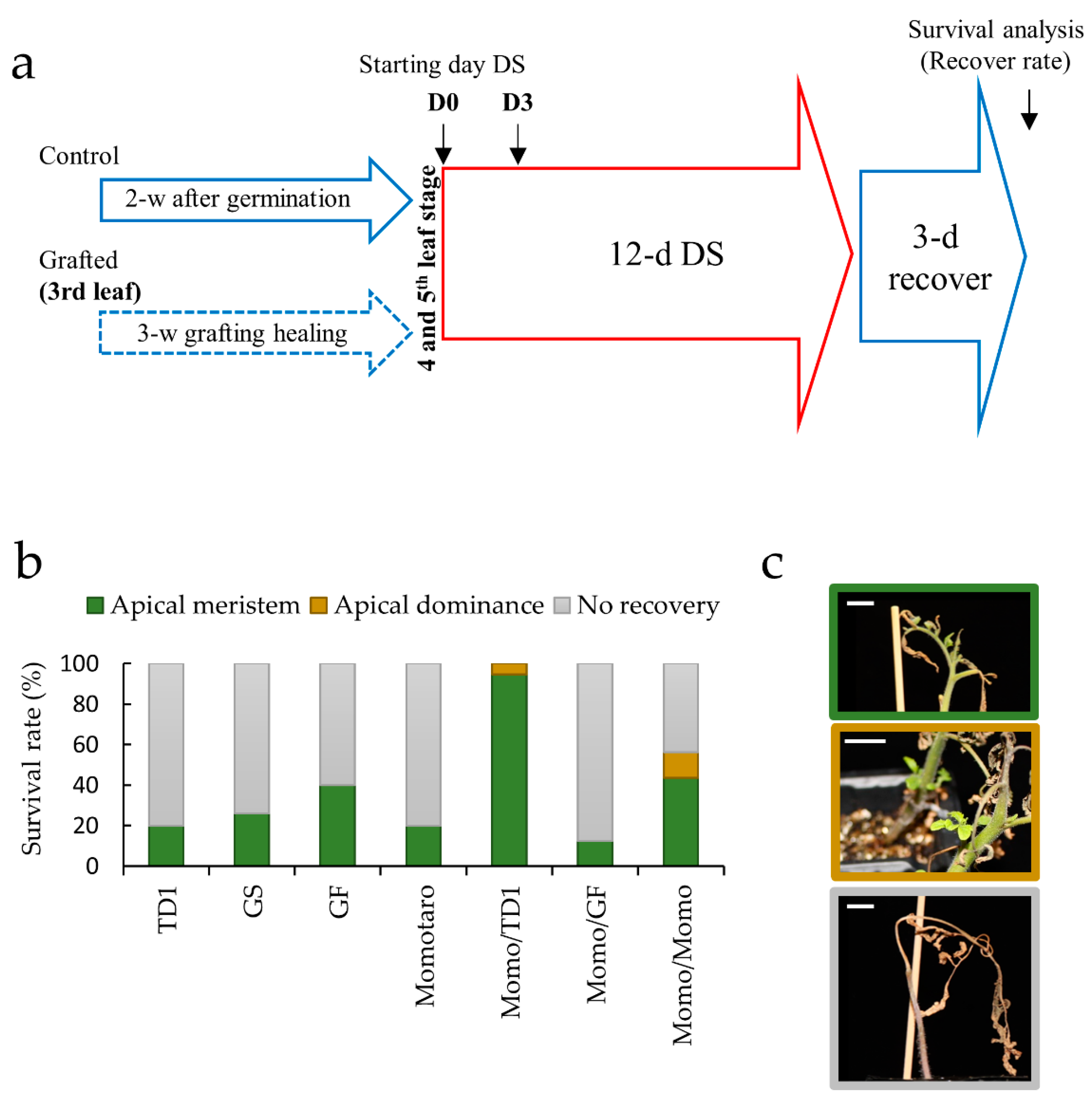 Plants 11 01947 g001 550