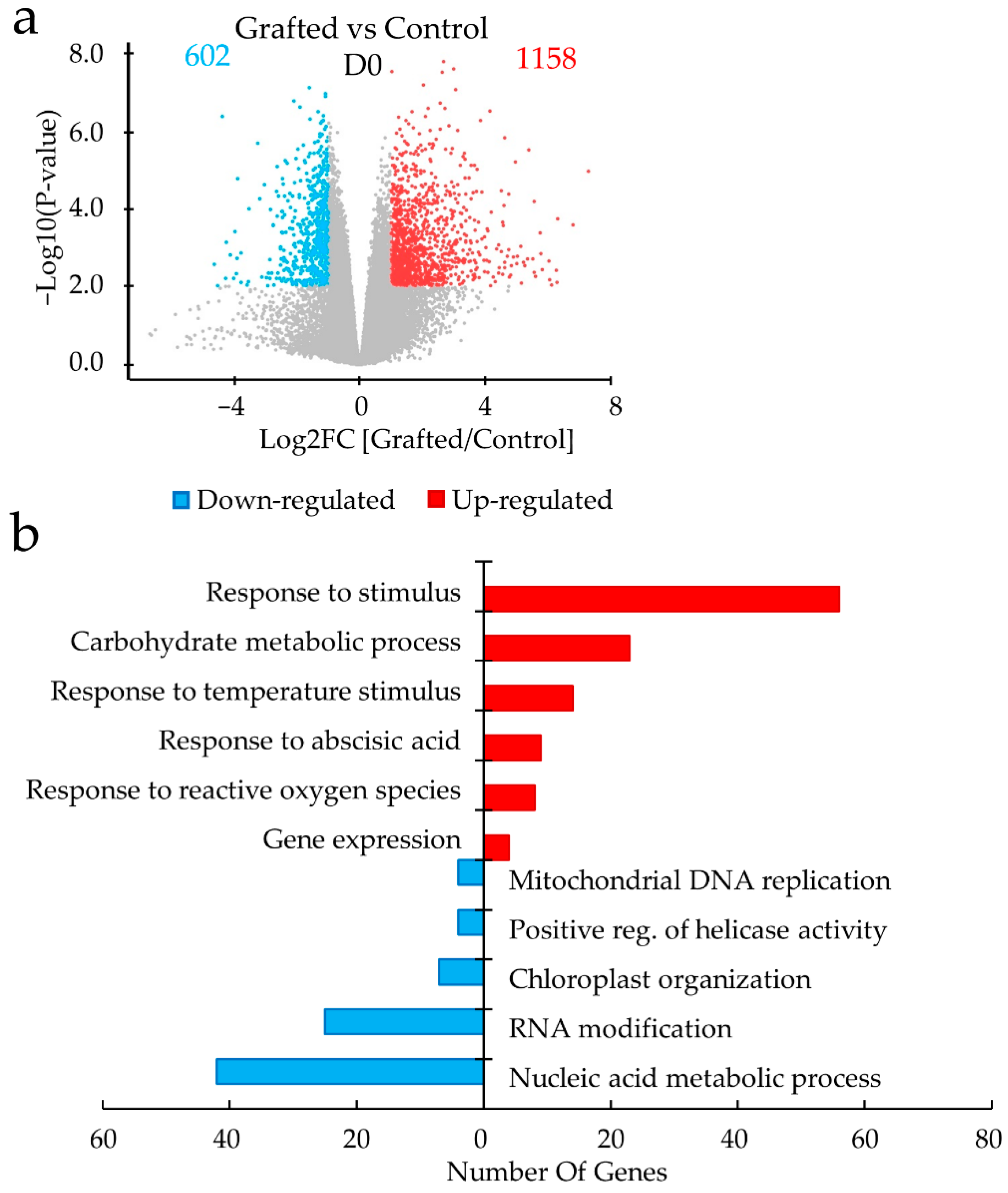 Plants 11 01947 g003 550