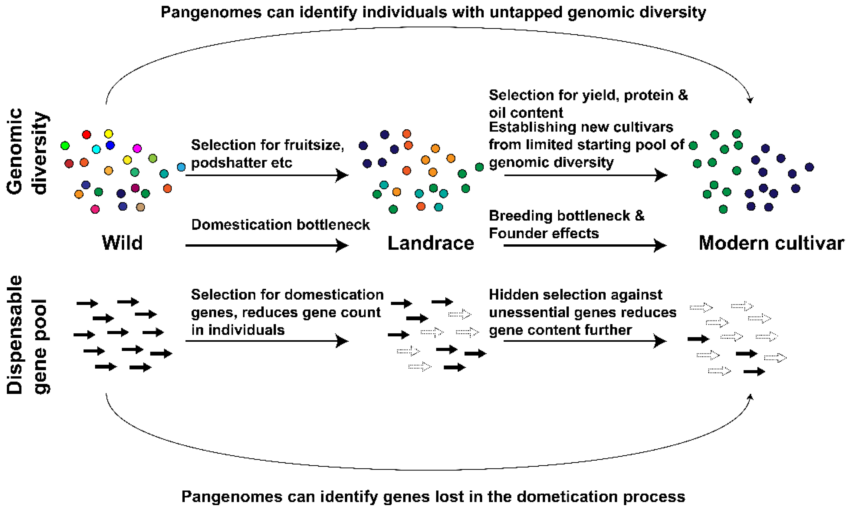 Plants 11 01949 g001