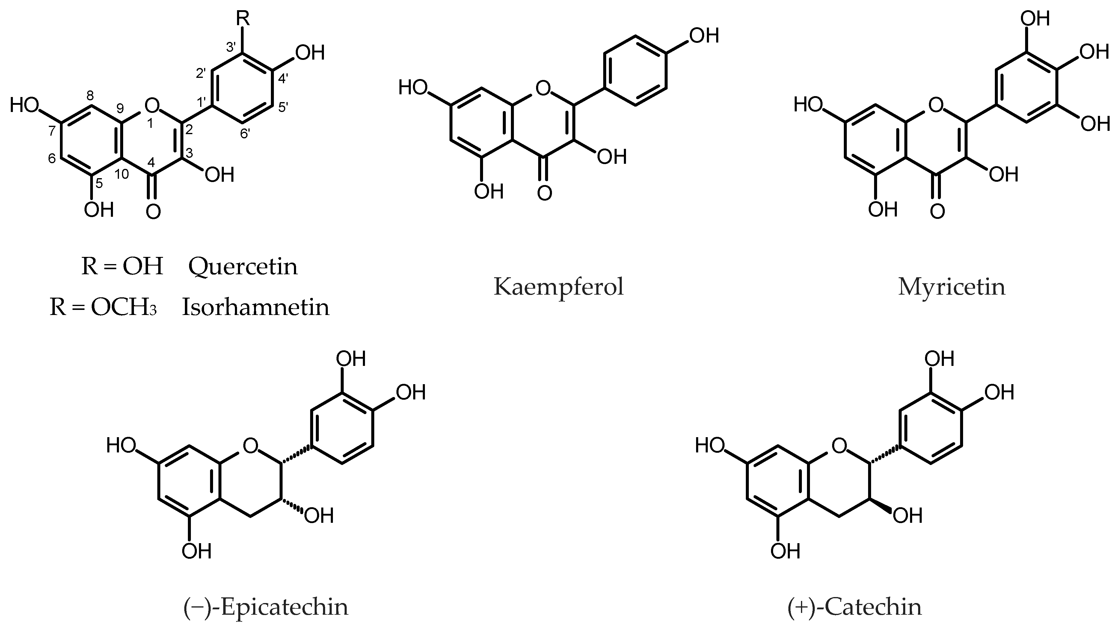 Plants 11 01950 g003