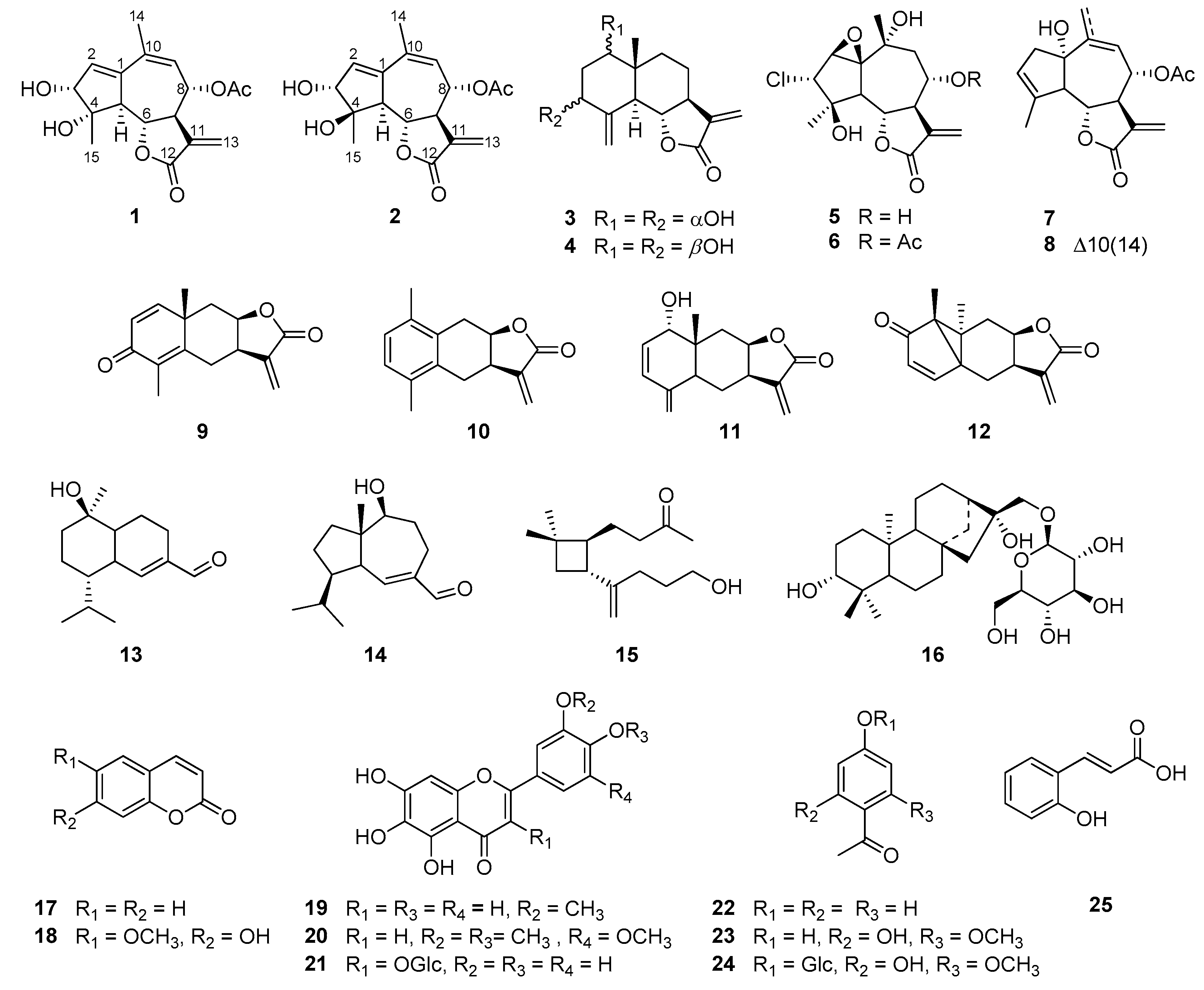 Plants 11 01954 g001
