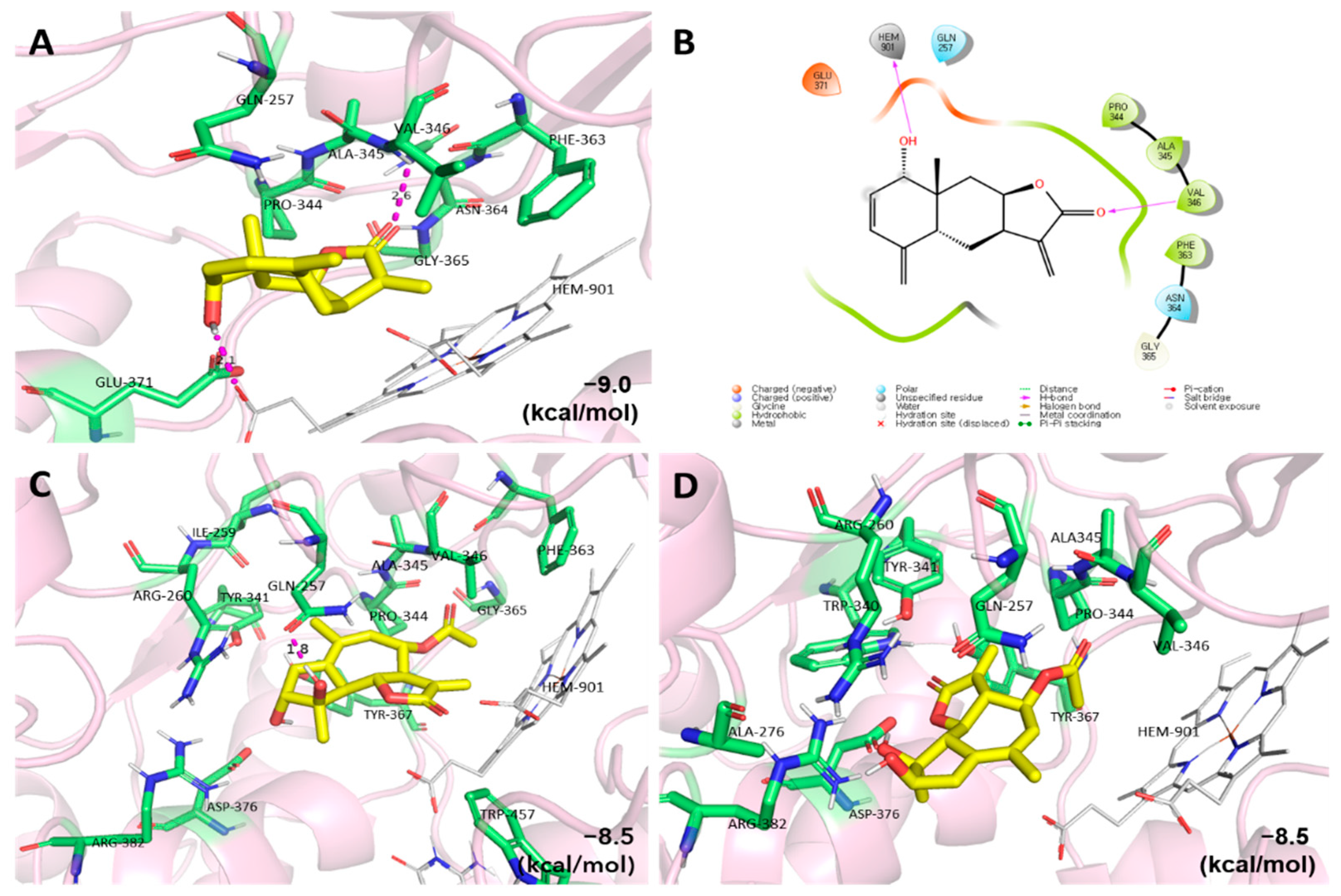 Plants 11 01954 g004