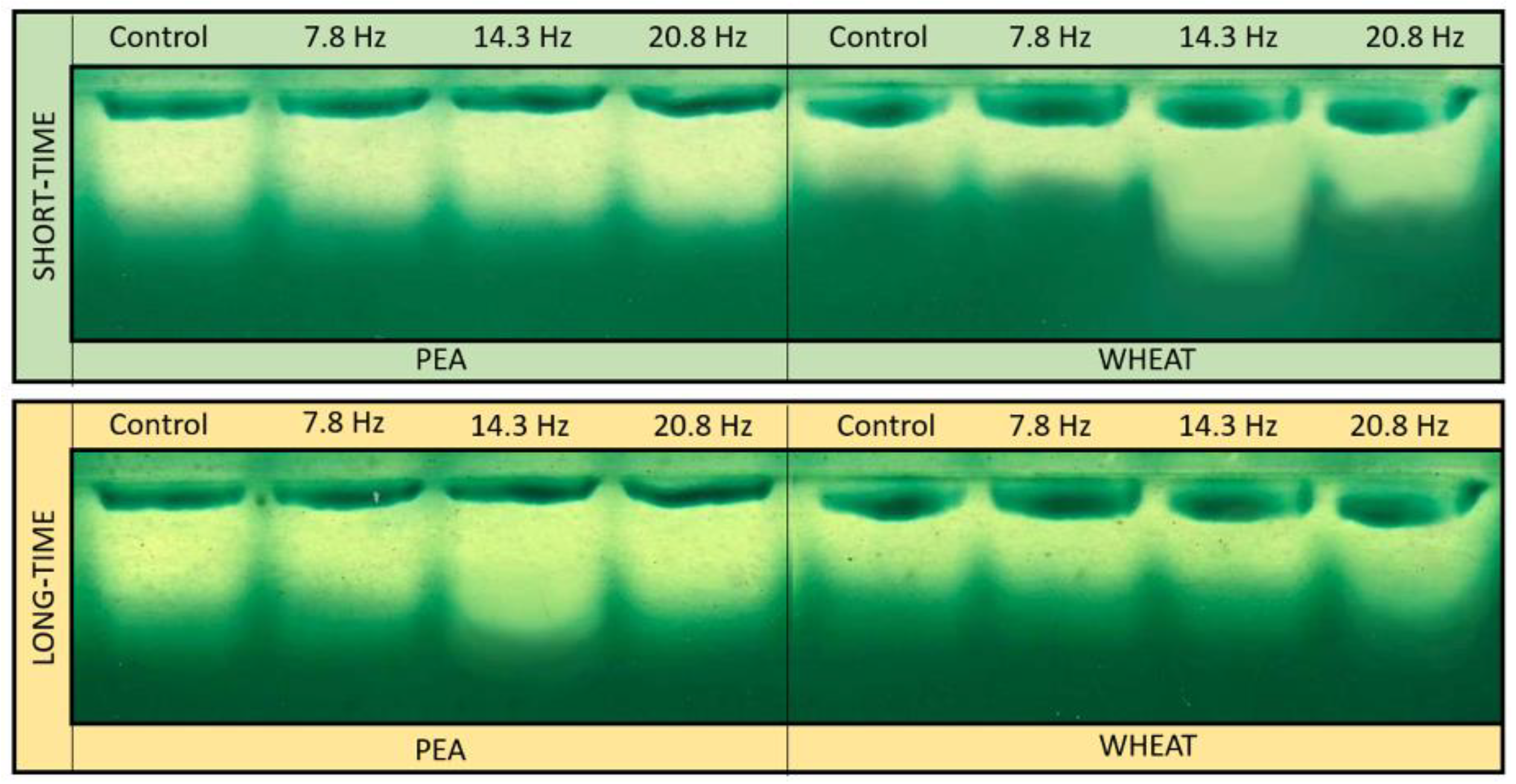 Plants 11 01955 g002