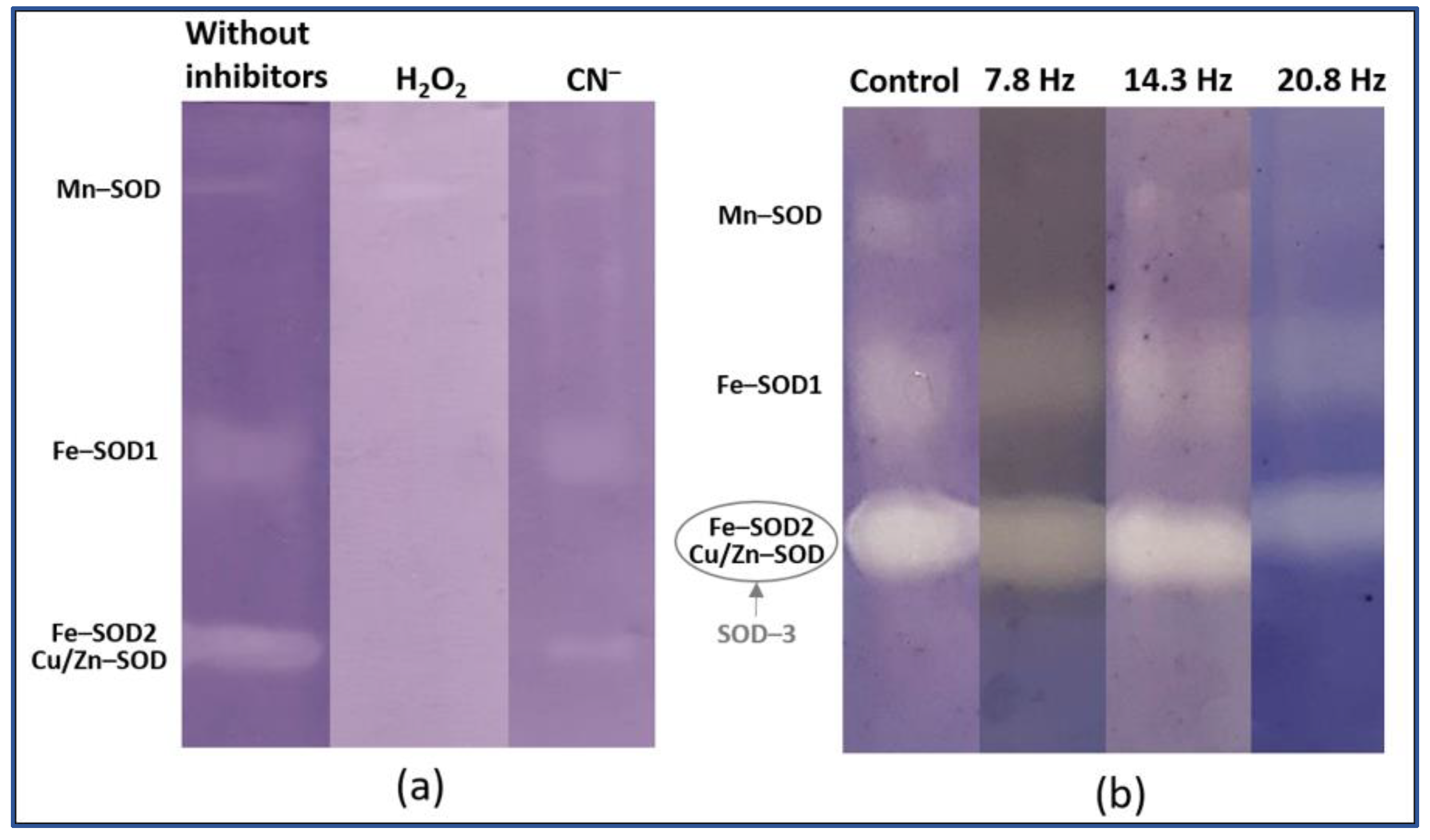 Plants 11 01955 g003