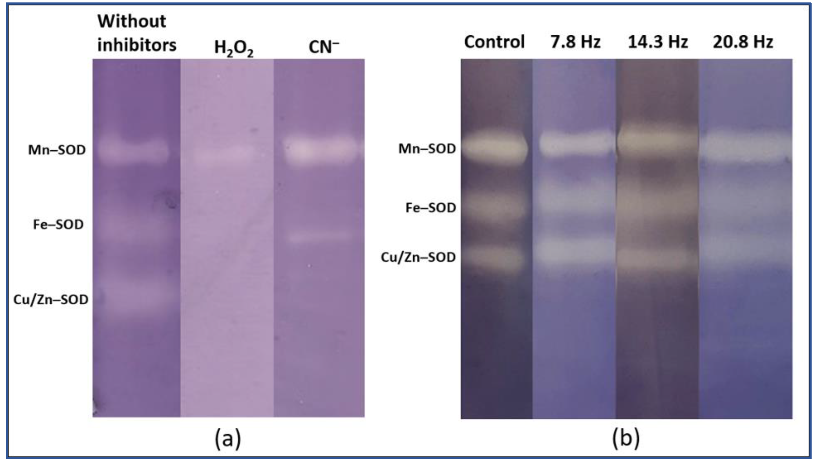 Plants 11 01955 g004