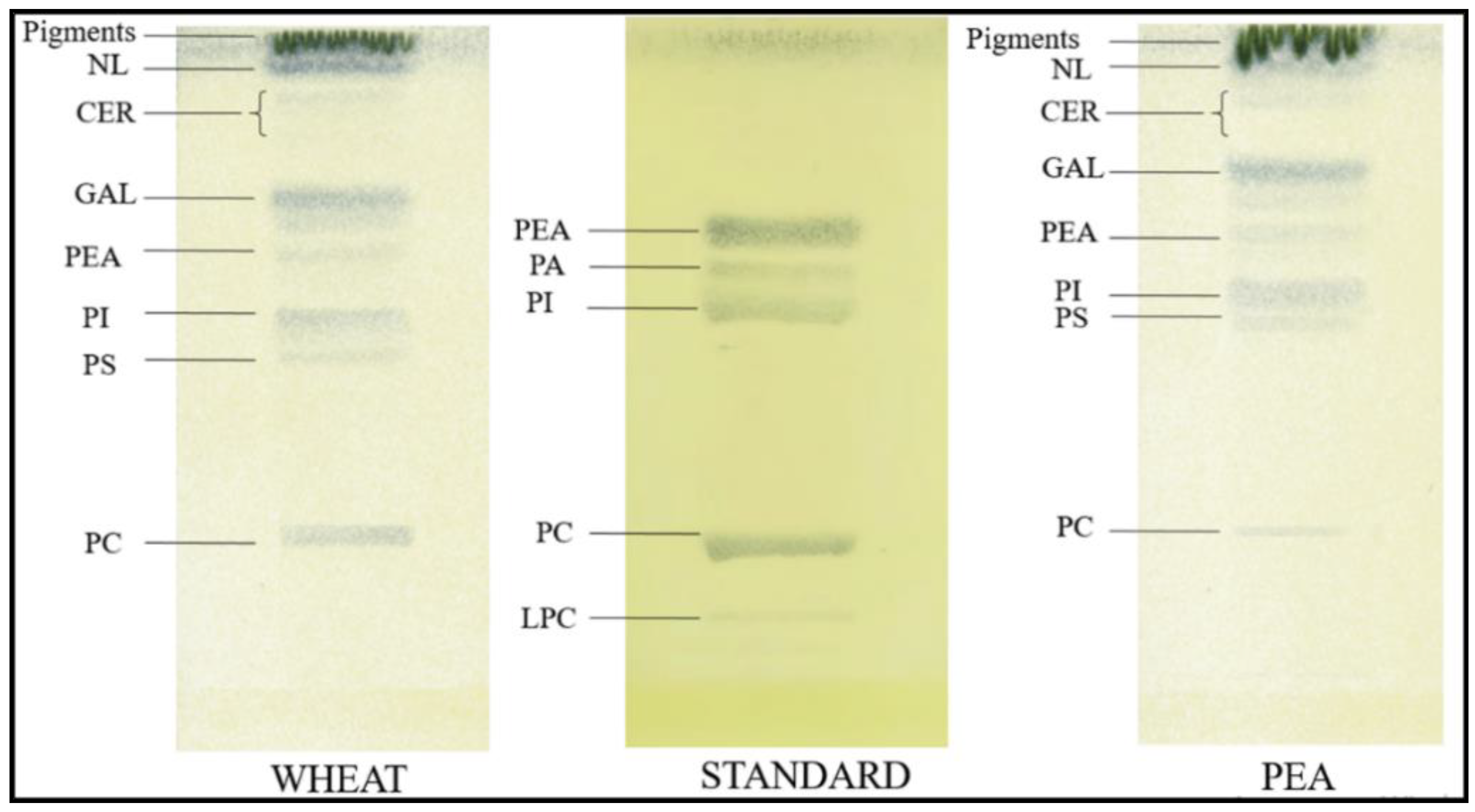 Plants 11 01955 g006