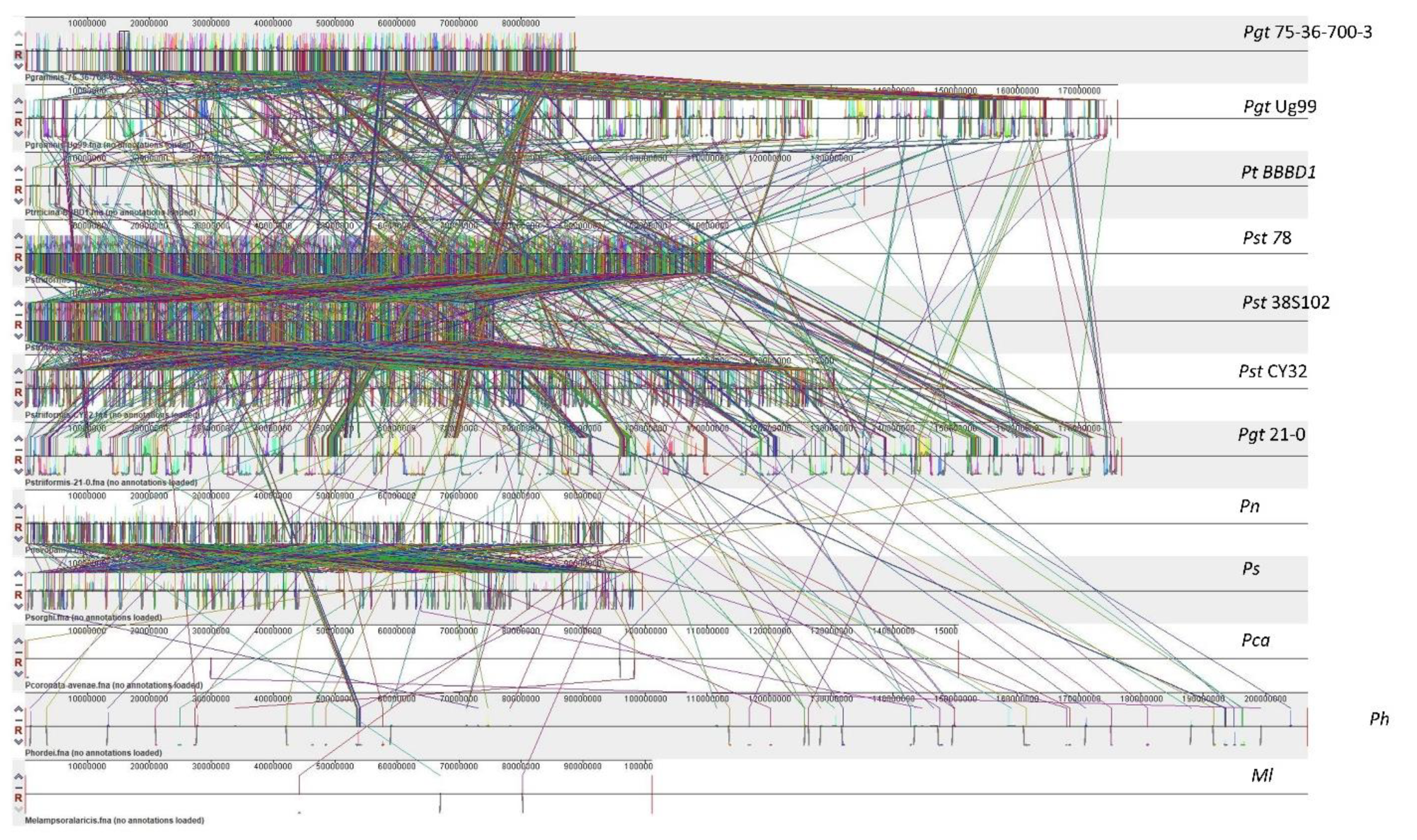 Plants 11 01962 g001 Plants 11 01962 g001