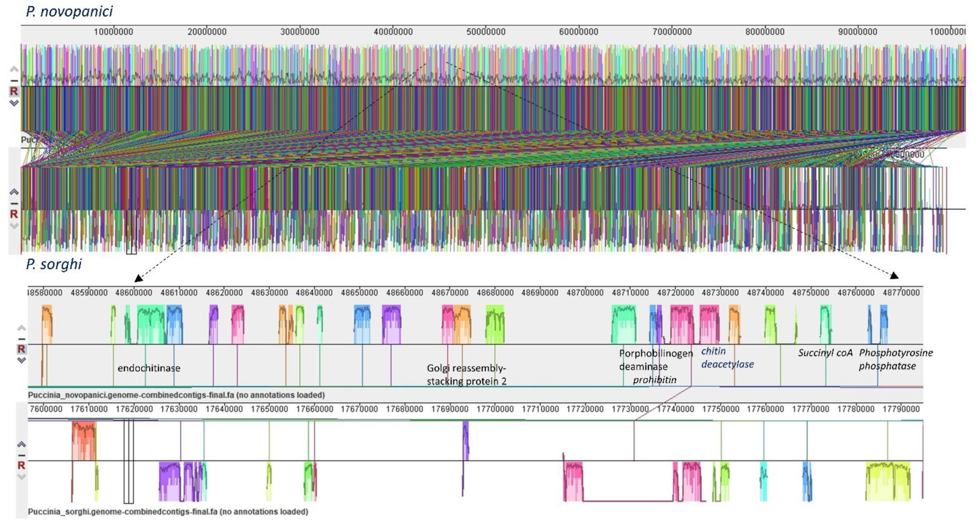 Plants 11 01962 g002 Plants 11 01962 g002