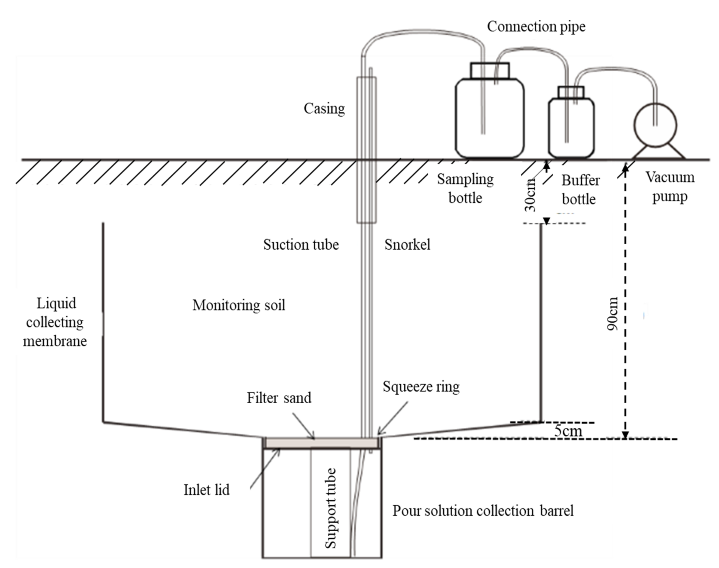 Plants 11 01963 g001