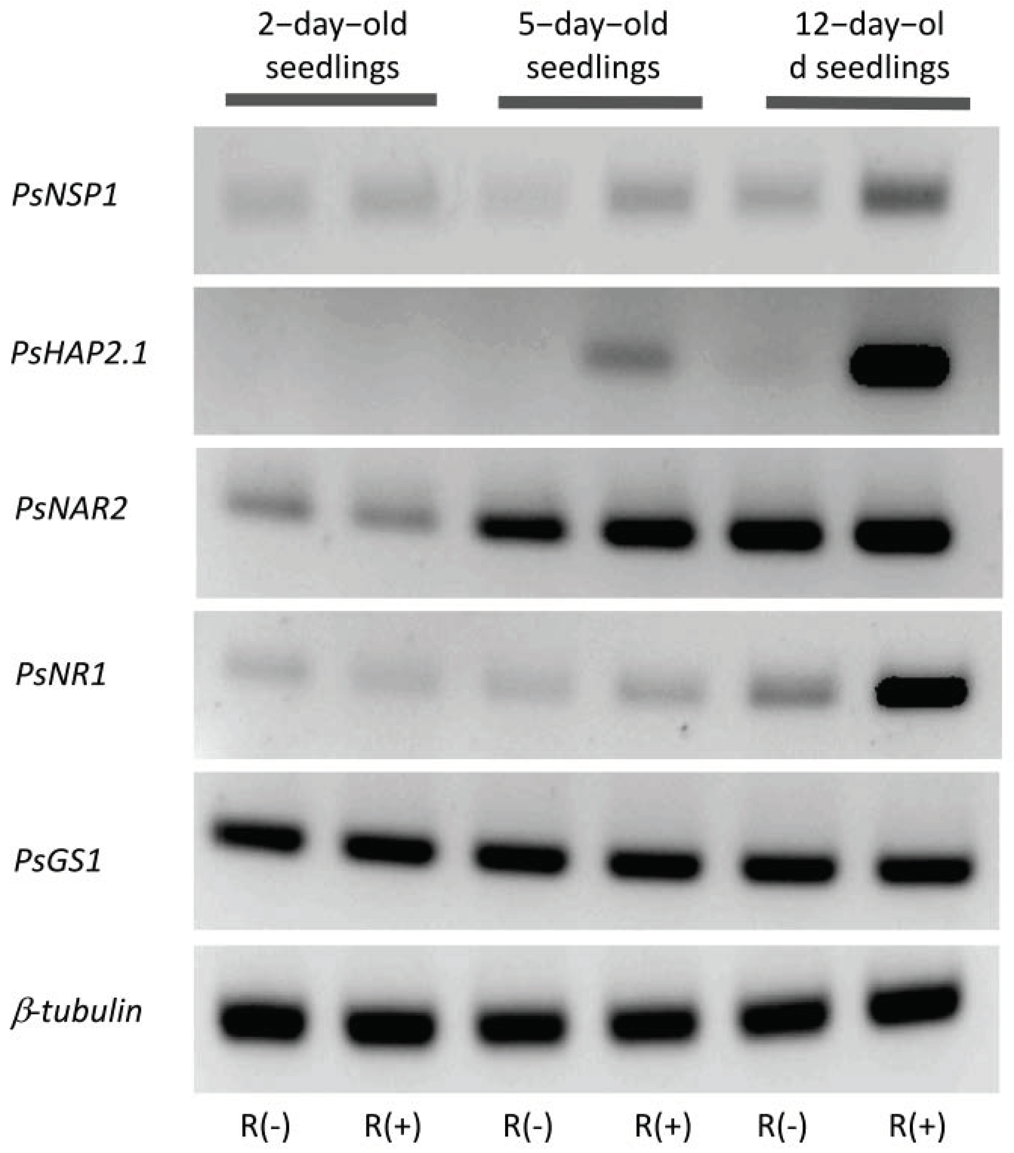 Plants 11 01966 g002 Plants 11 01966 g002
