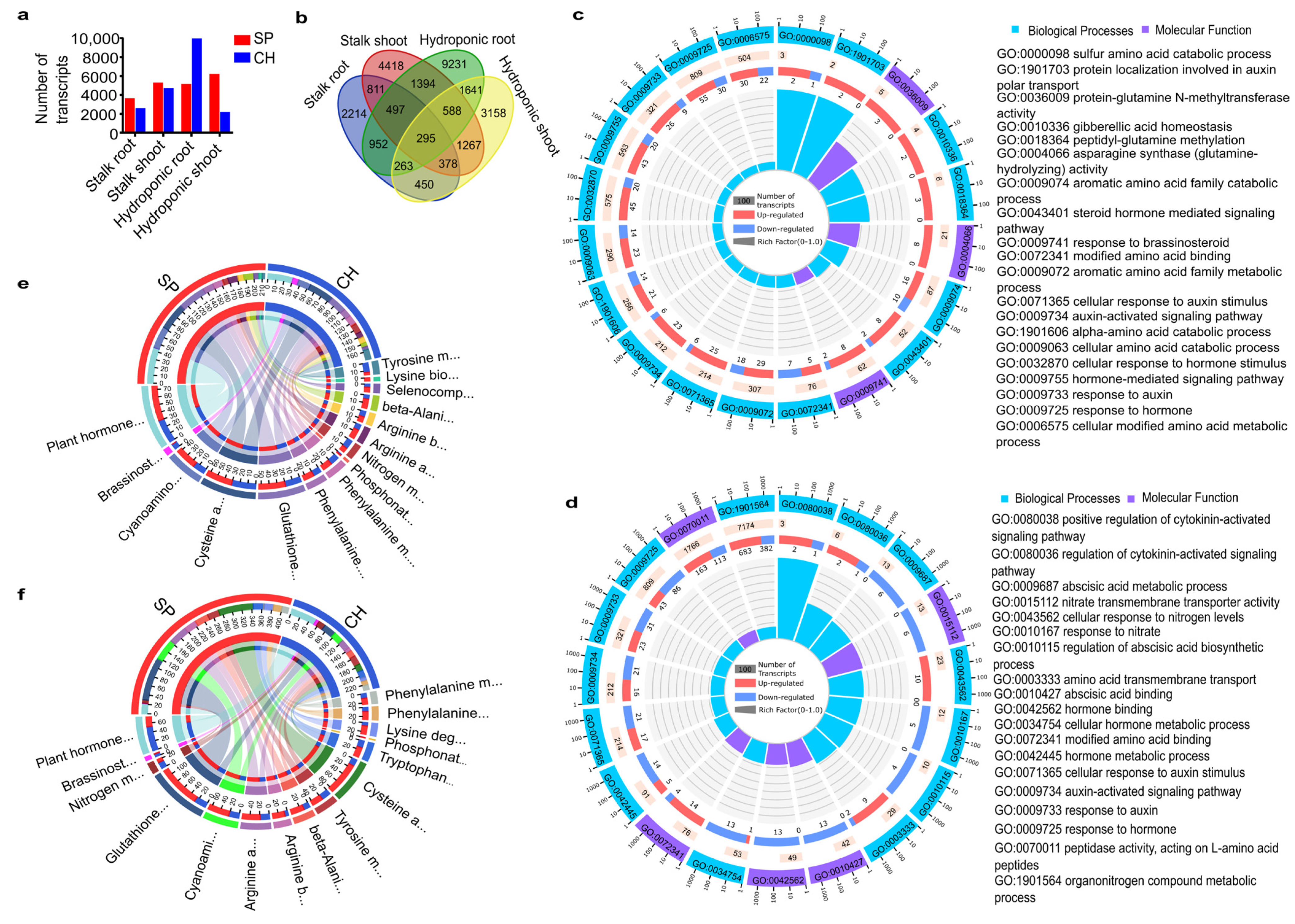 Plants 11 01971 g002 Plants 11 01971 g002