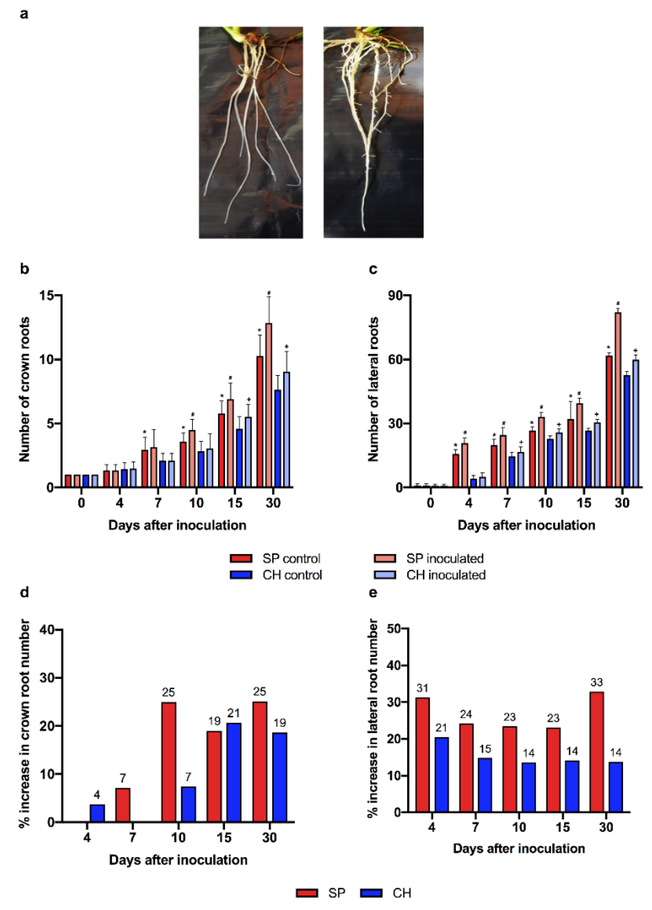 Plants 11 01971 g008 Plants 11 01971 g008
