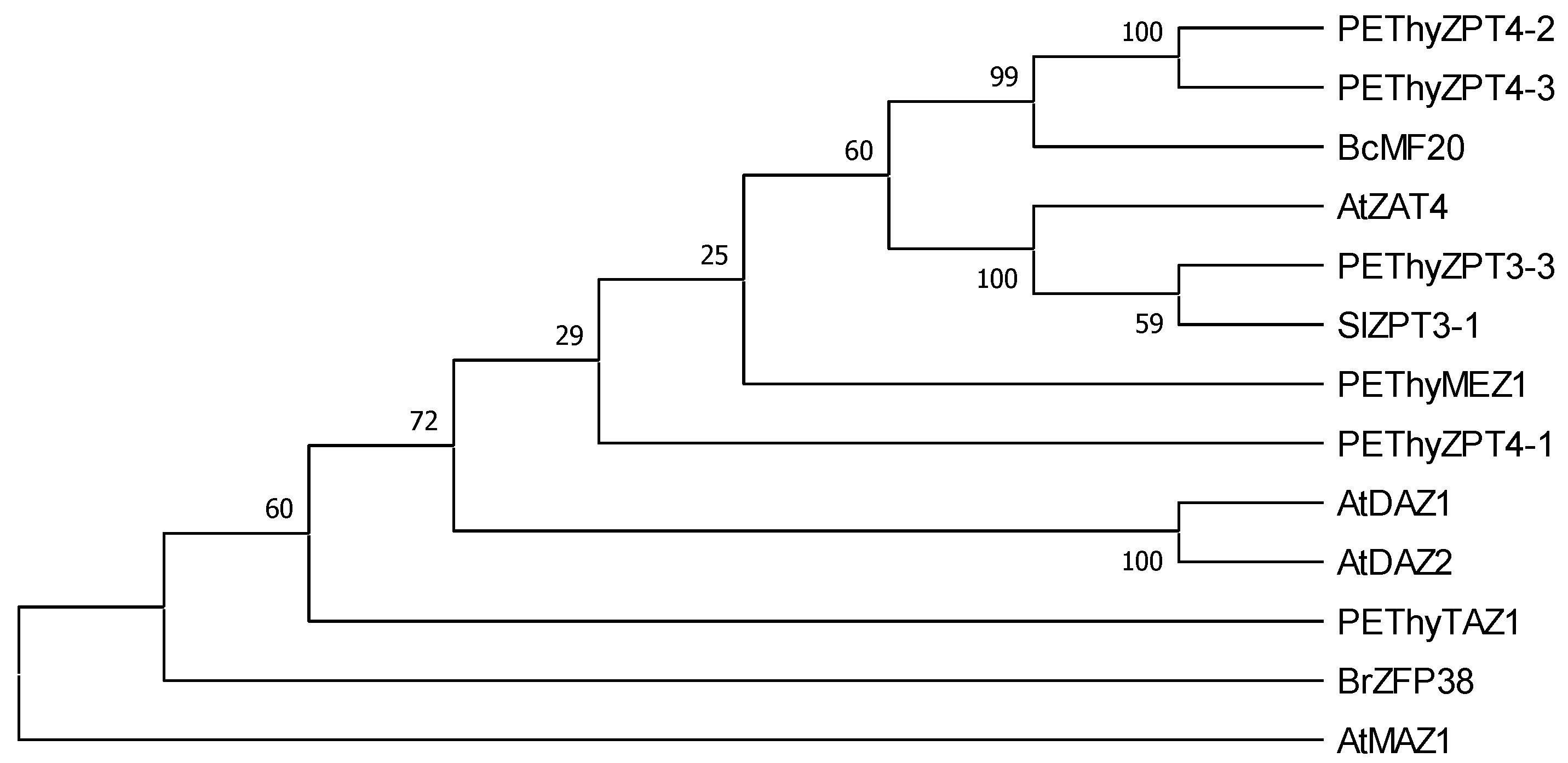 Plants 11 01974 g001