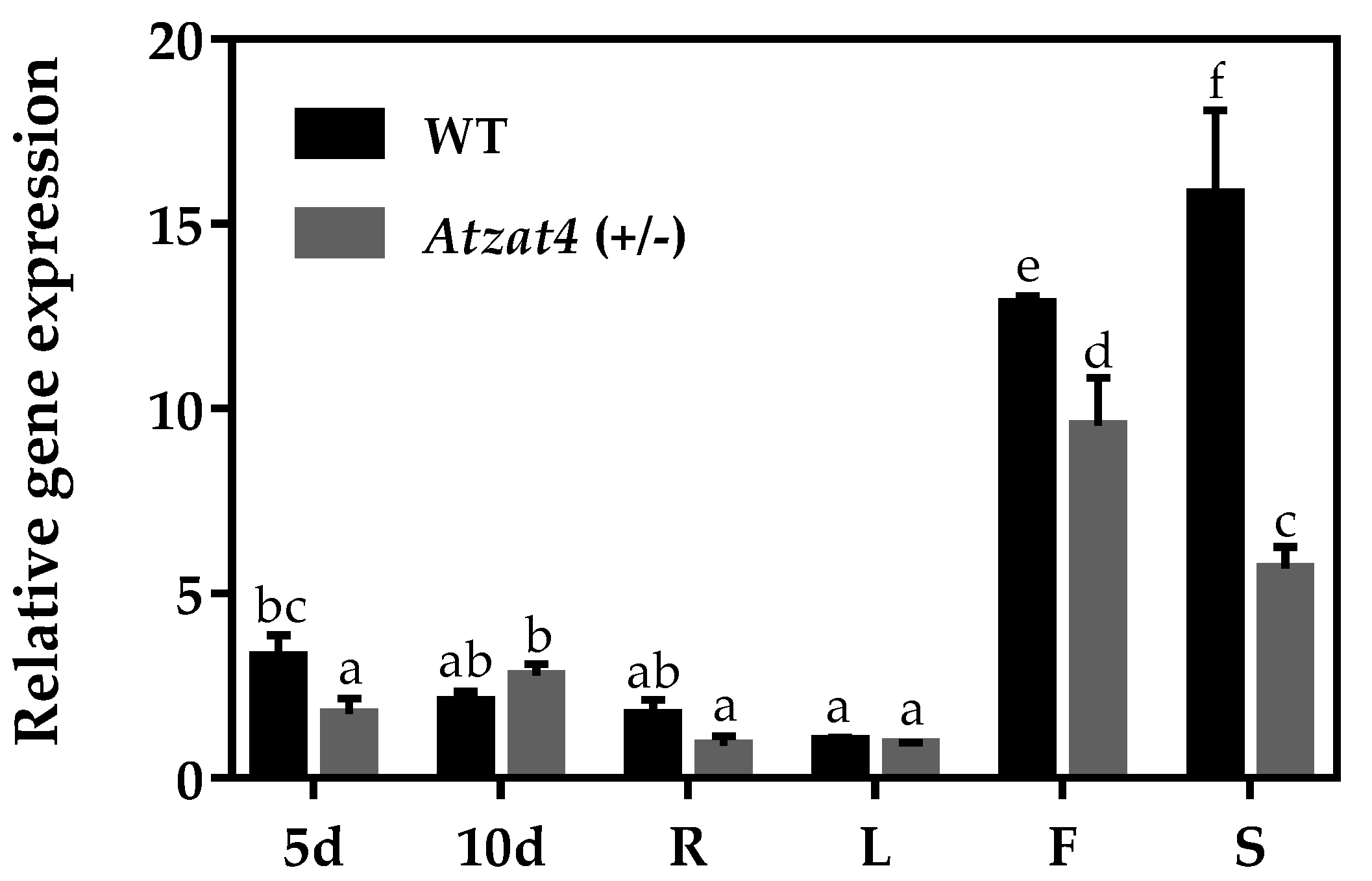 Plants 11 01974 g004