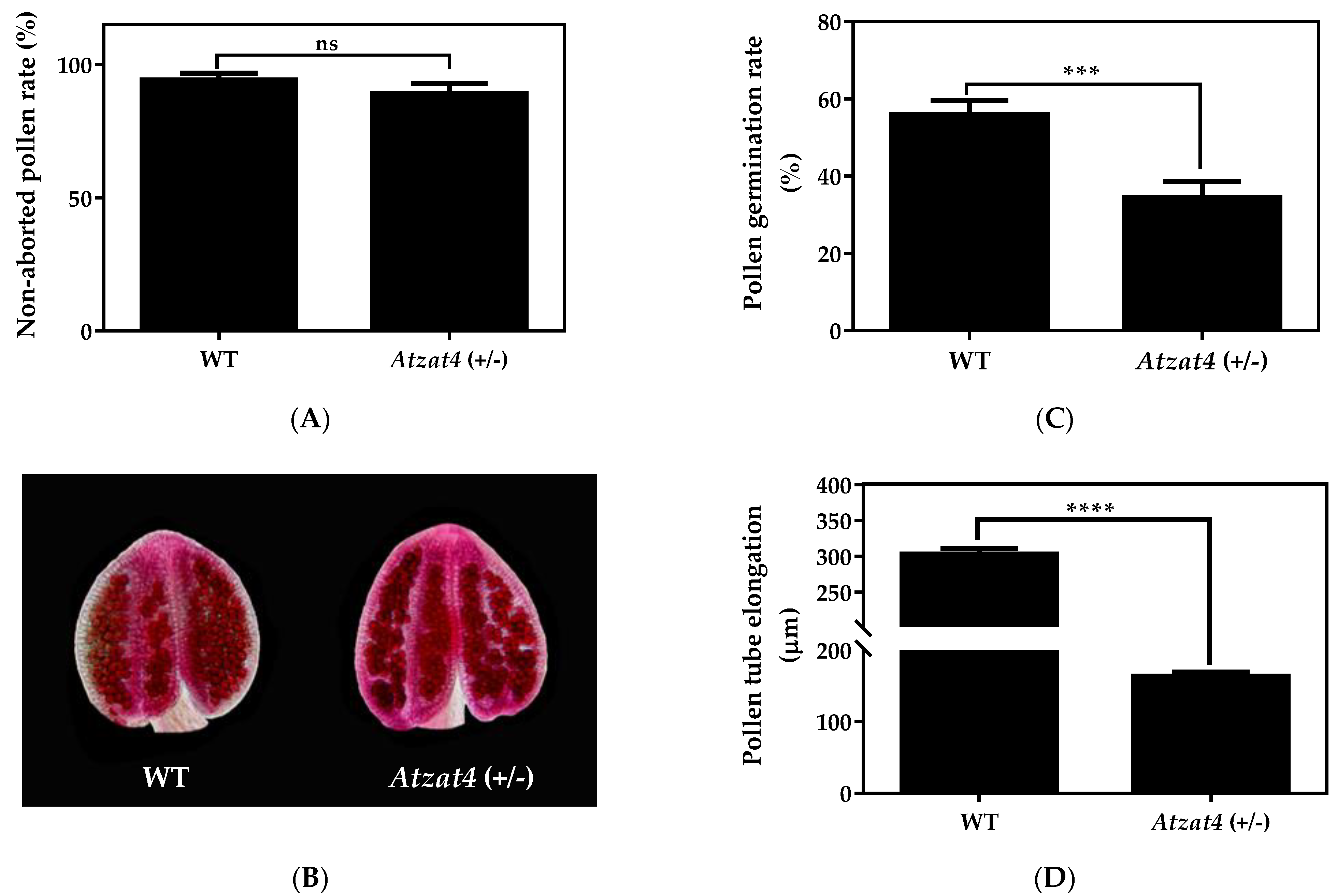 Plants 11 01974 g005a