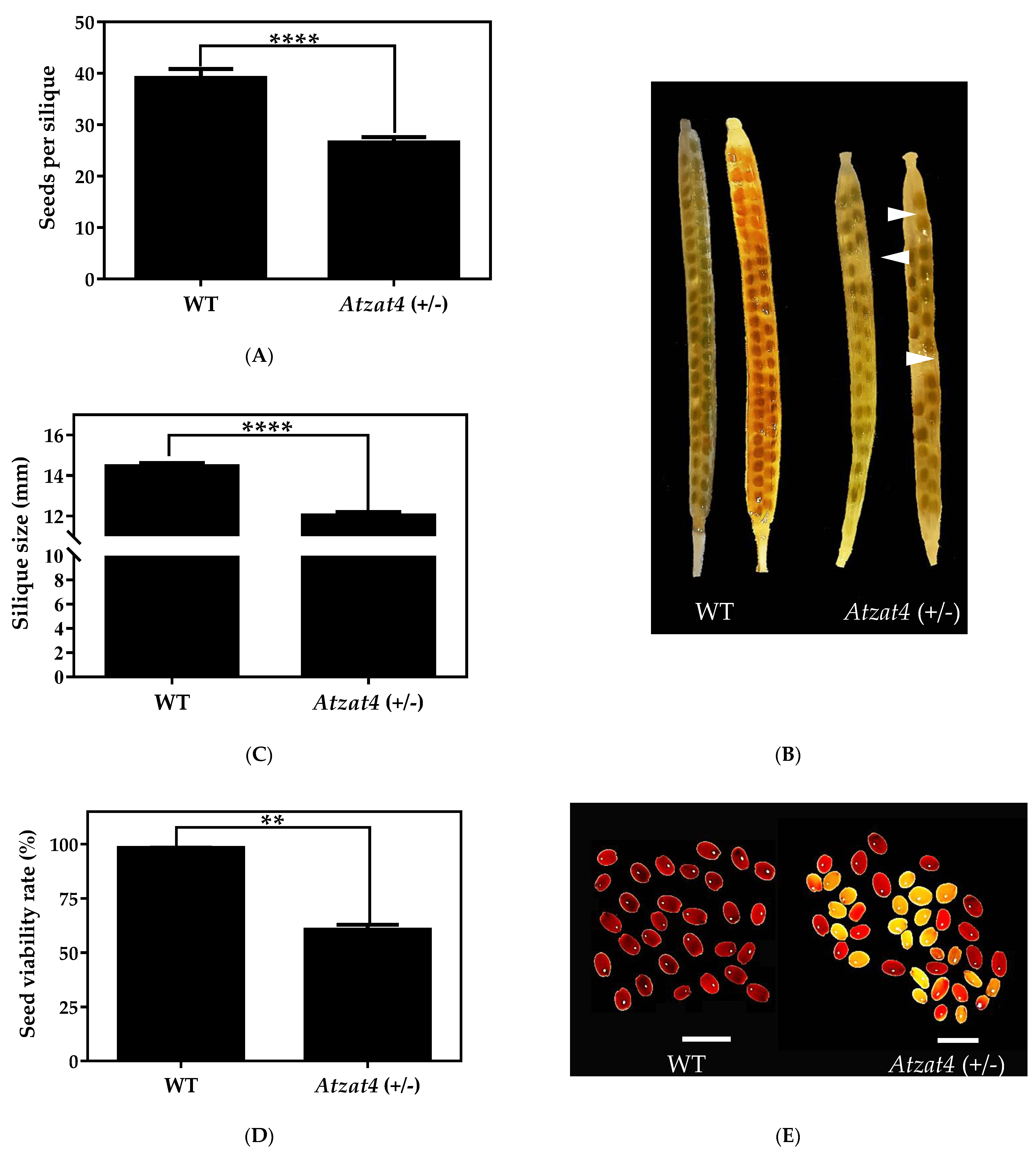 Plants 11 01974 g006a