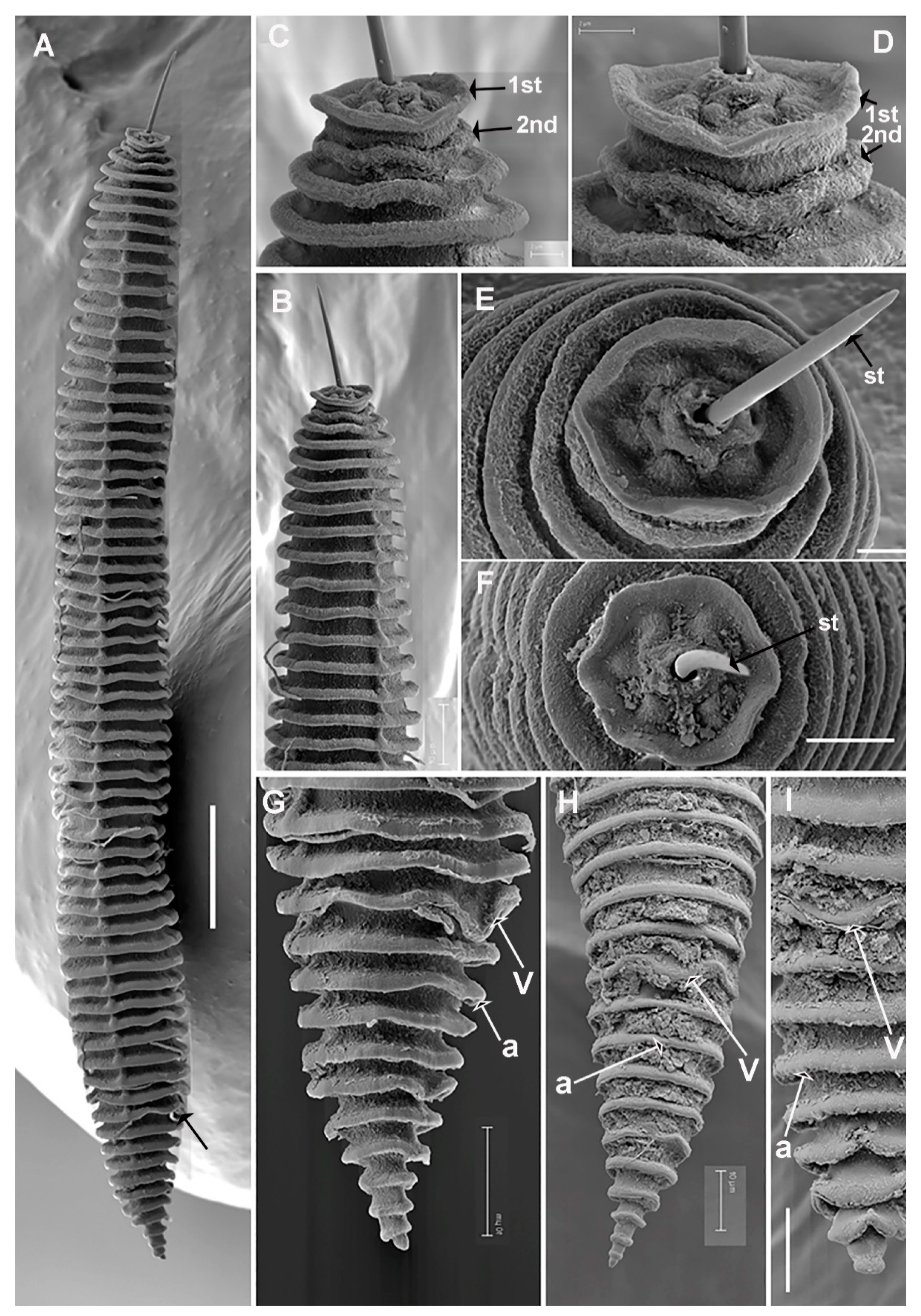 Plants 11 01977 g010