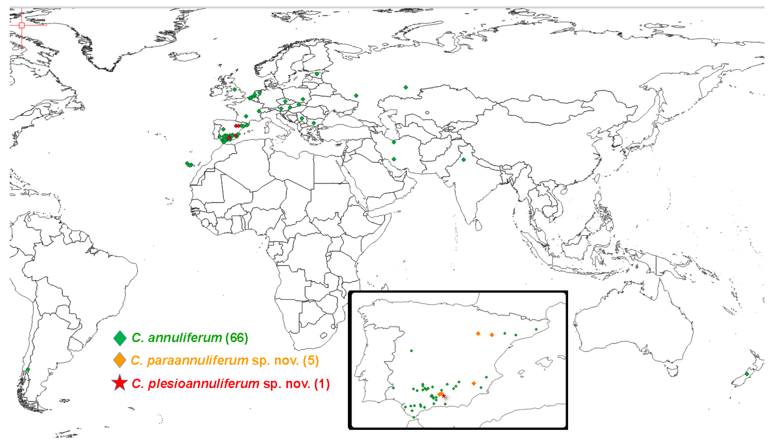 Plants 11 01977 g012