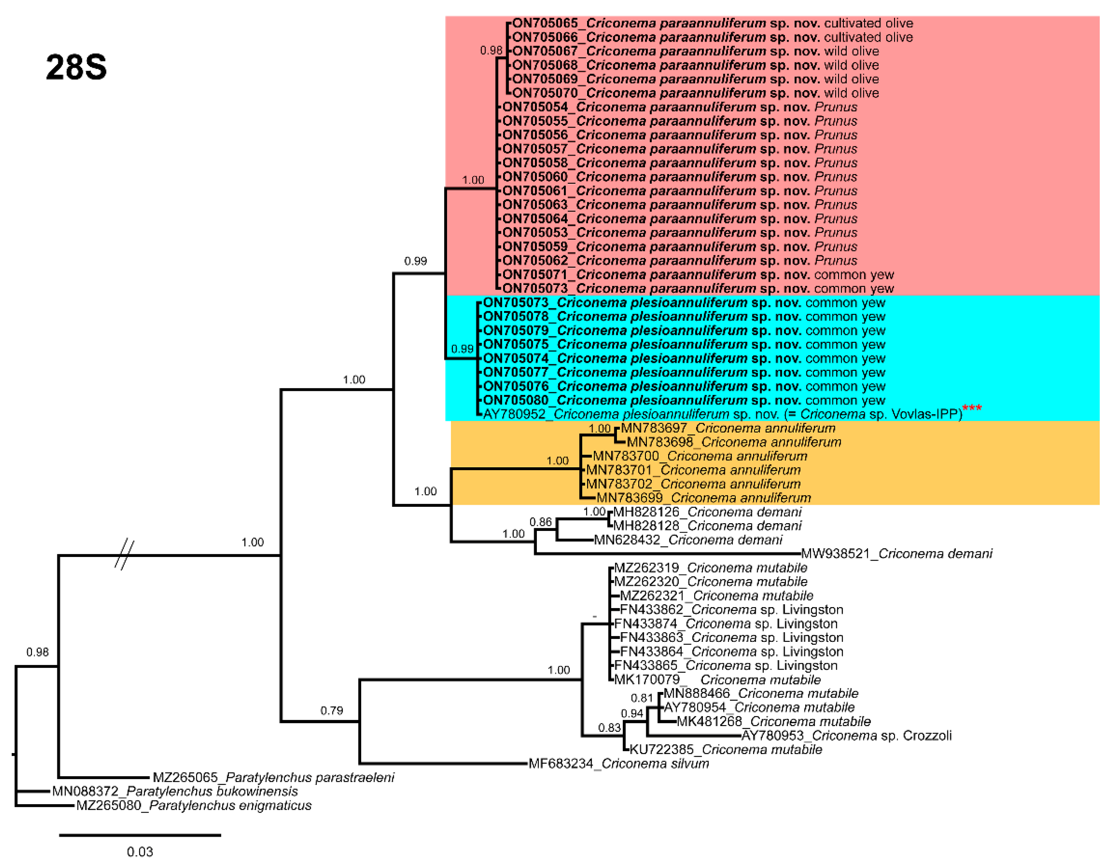 Plants 11 01977 g013