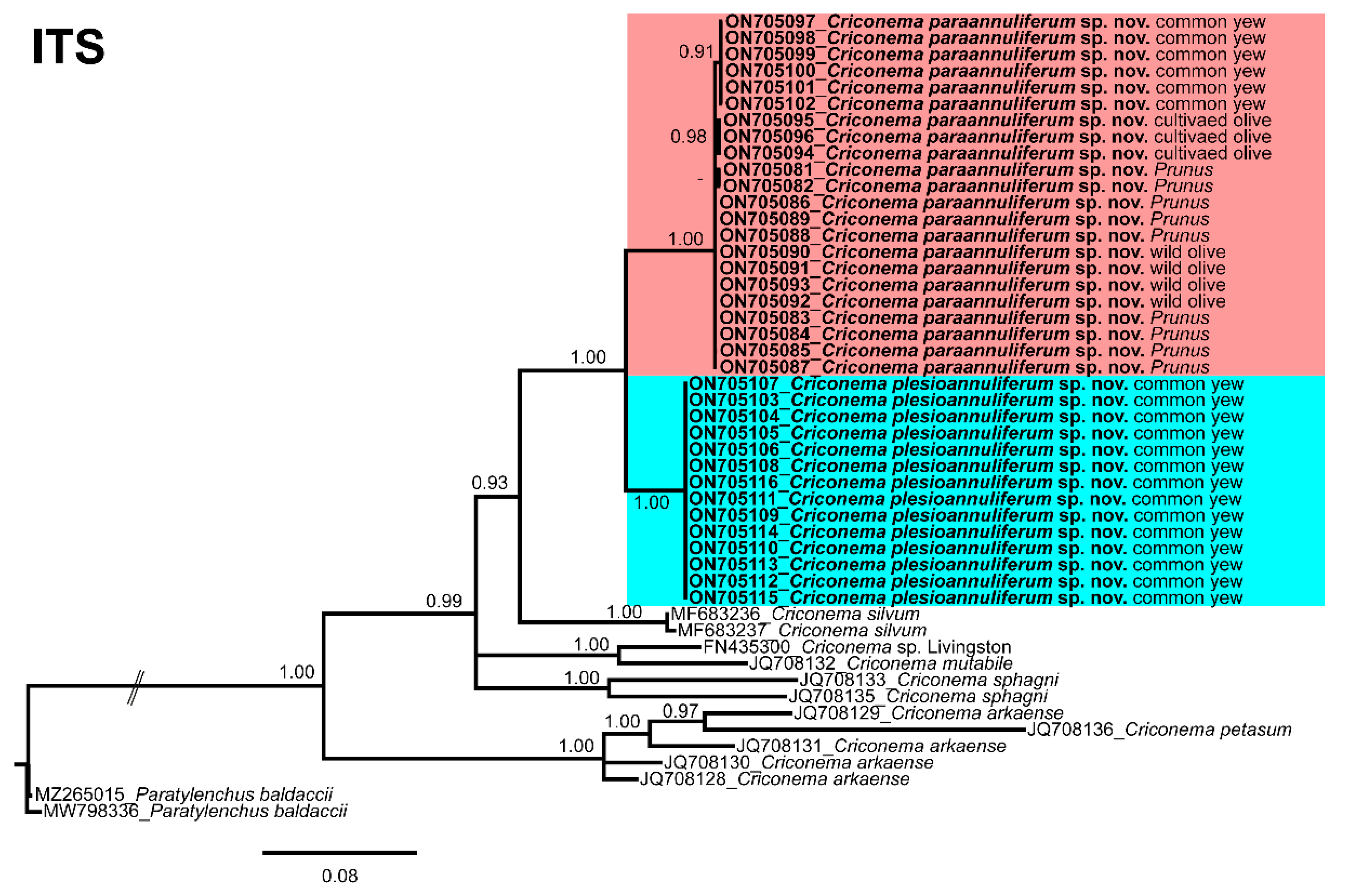 Plants 11 01977 g014