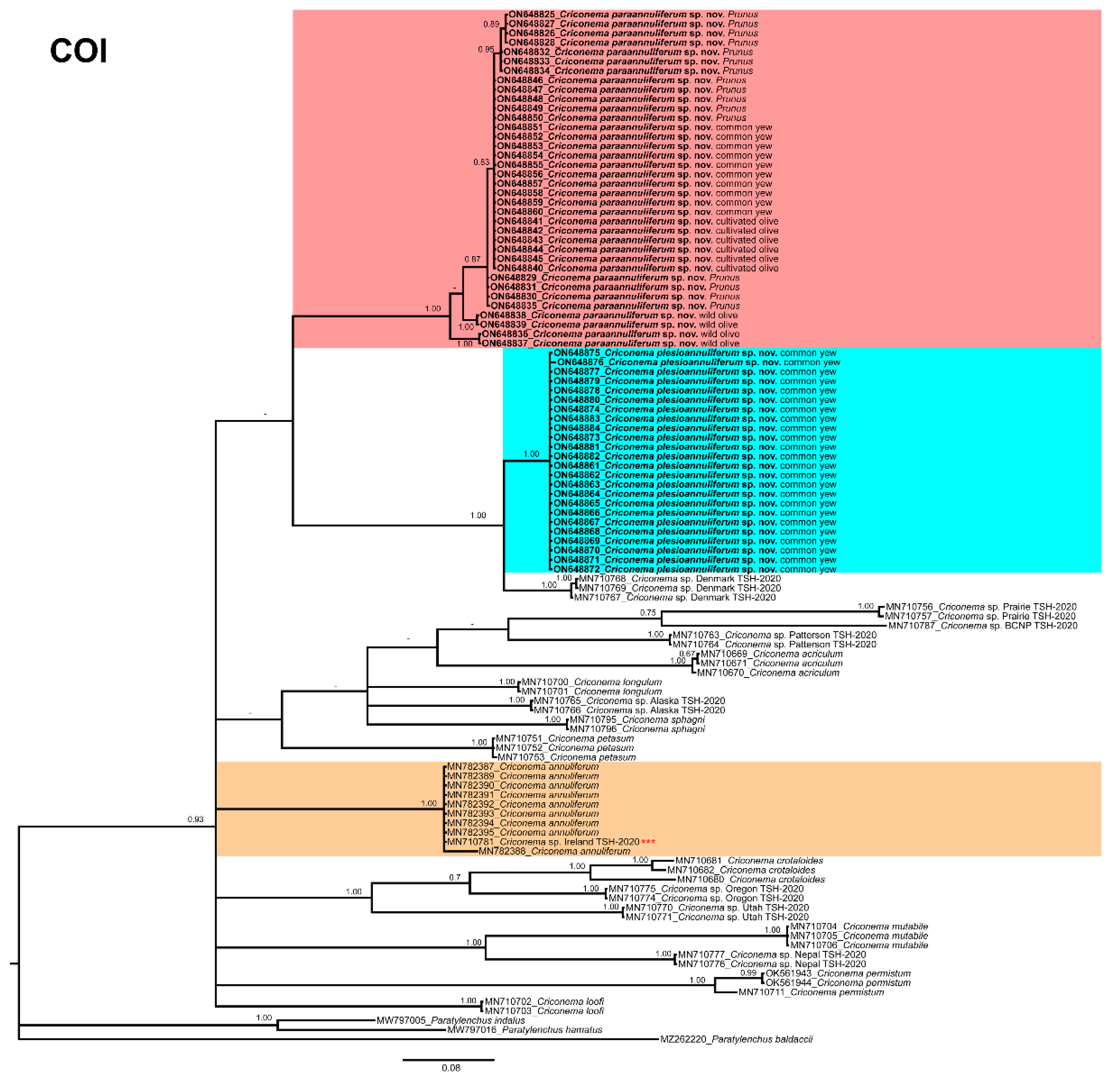 Plants 11 01977 g016