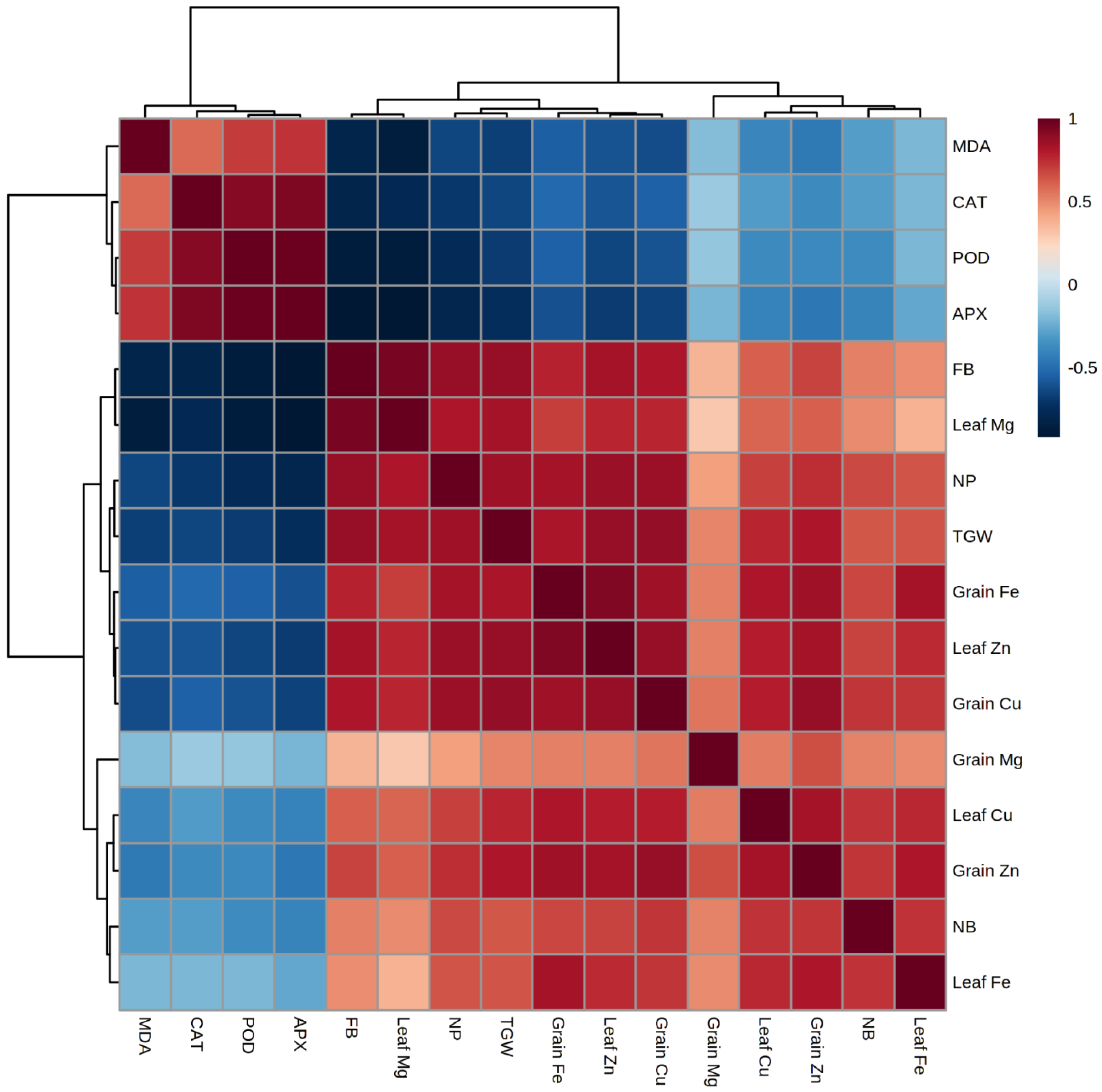 Plants 11 01980 g003