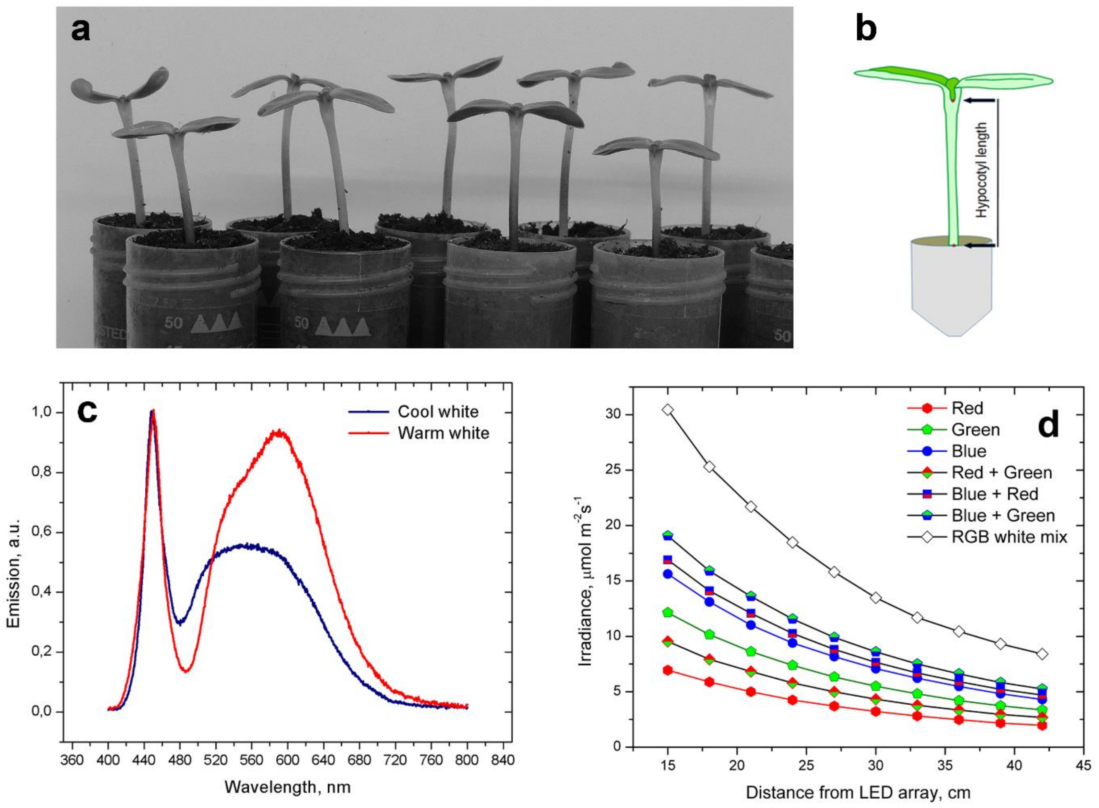 Plants 11 01982 g001