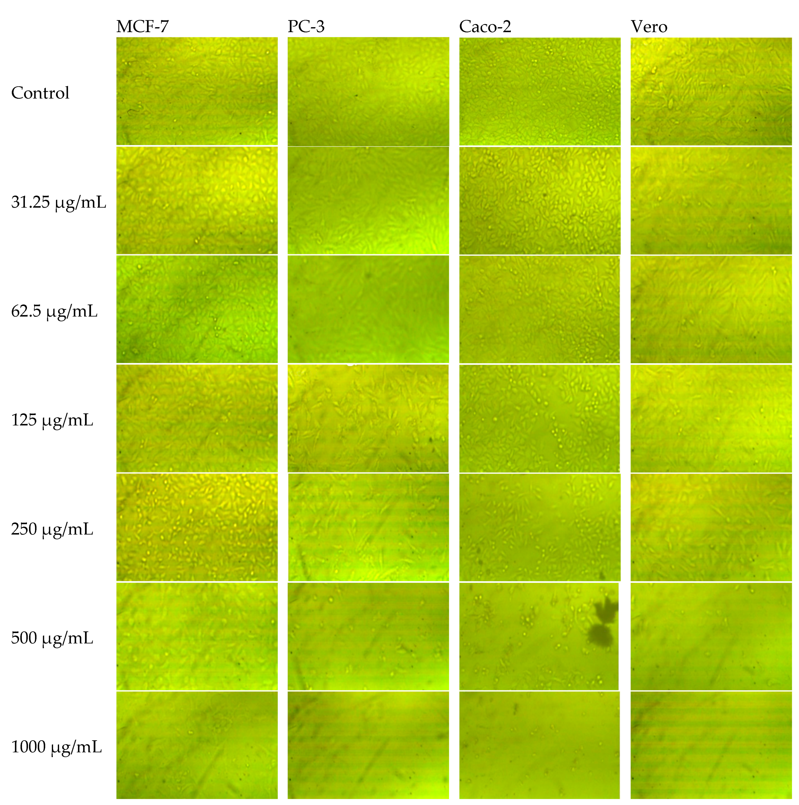 Plants 11 01990 g005