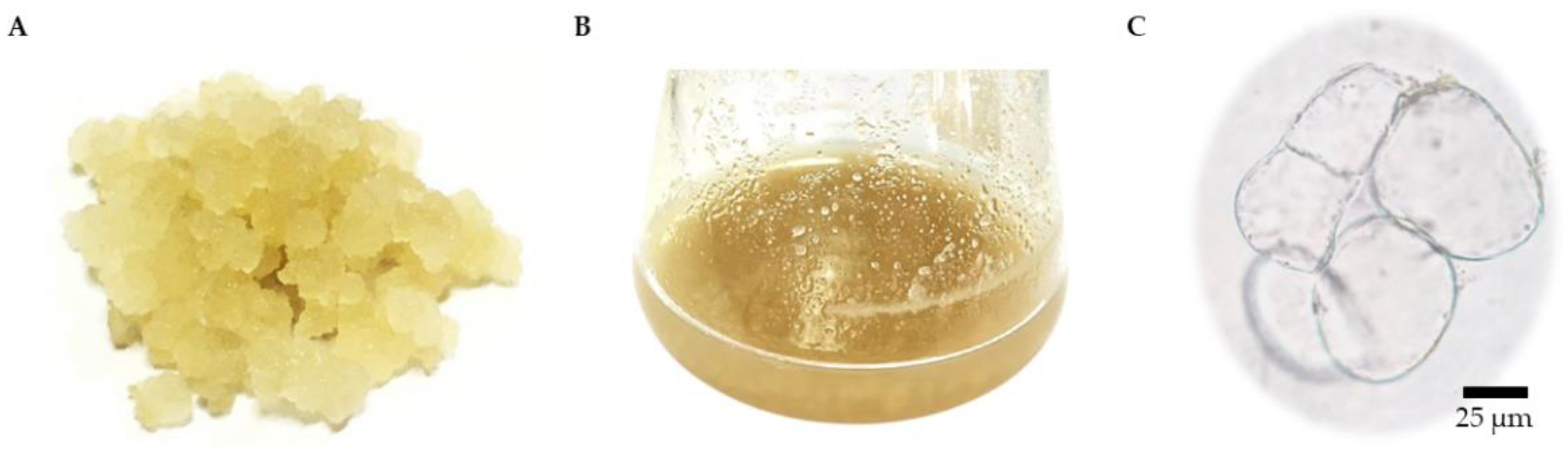 Plants 11 01994 g003 Plants 11 01994 g003