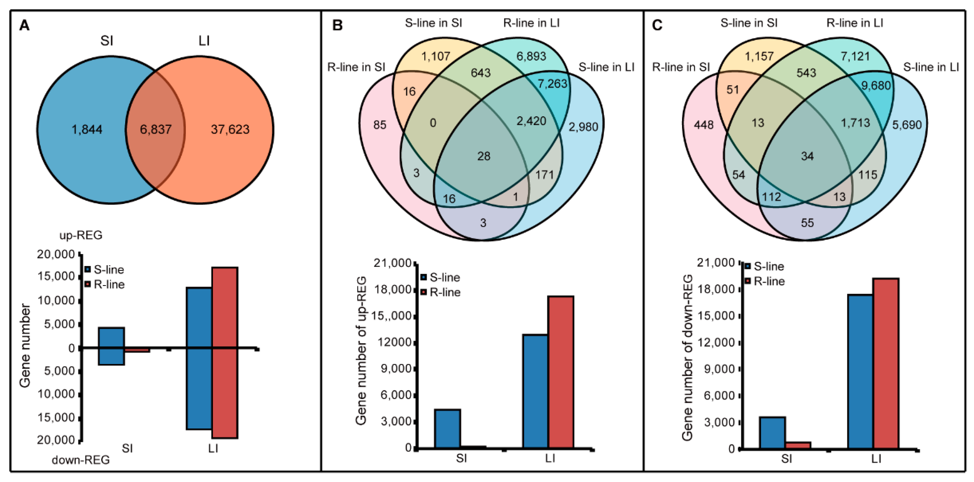 Plants 11 02001 g001