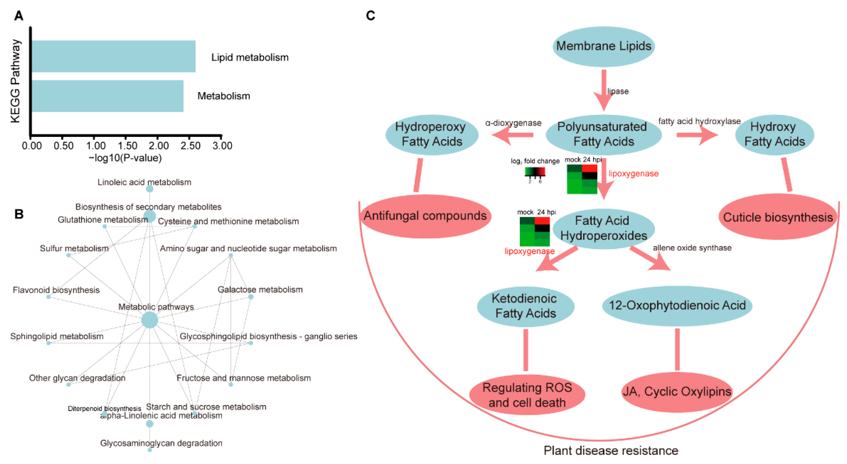 Plants 11 02001 g005