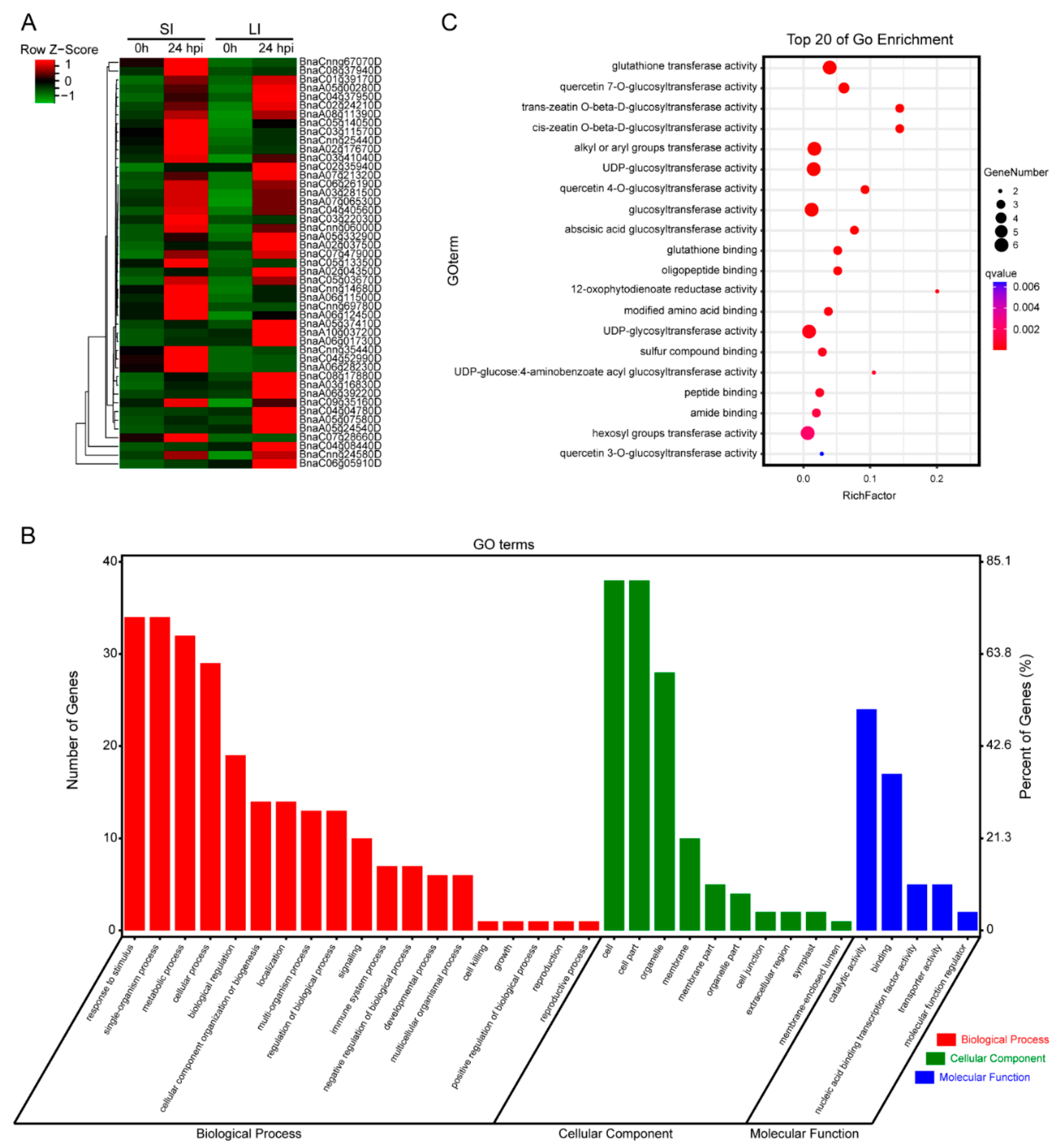 Plants 11 02001 g006