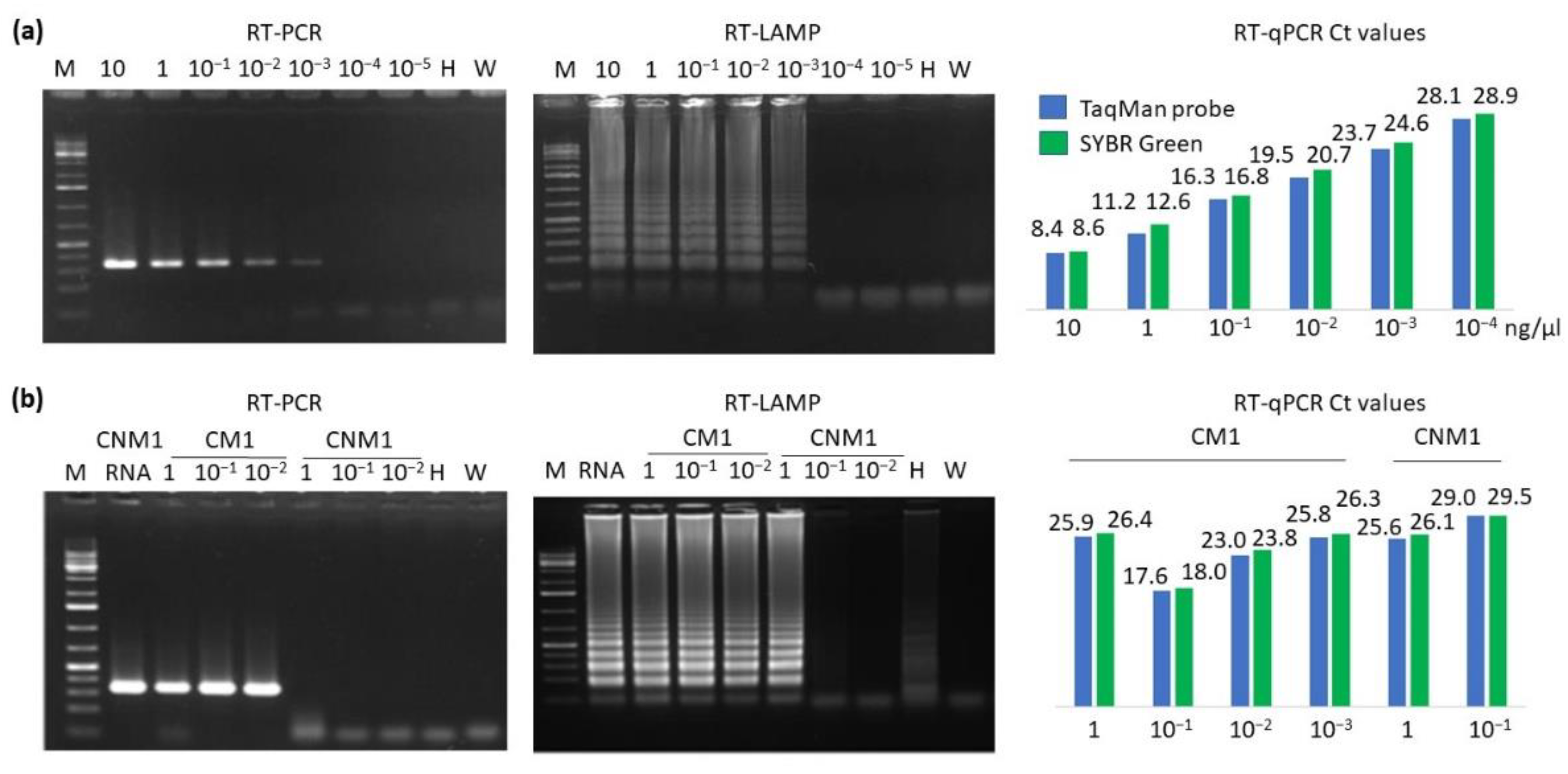 Plants 11 02002 g003