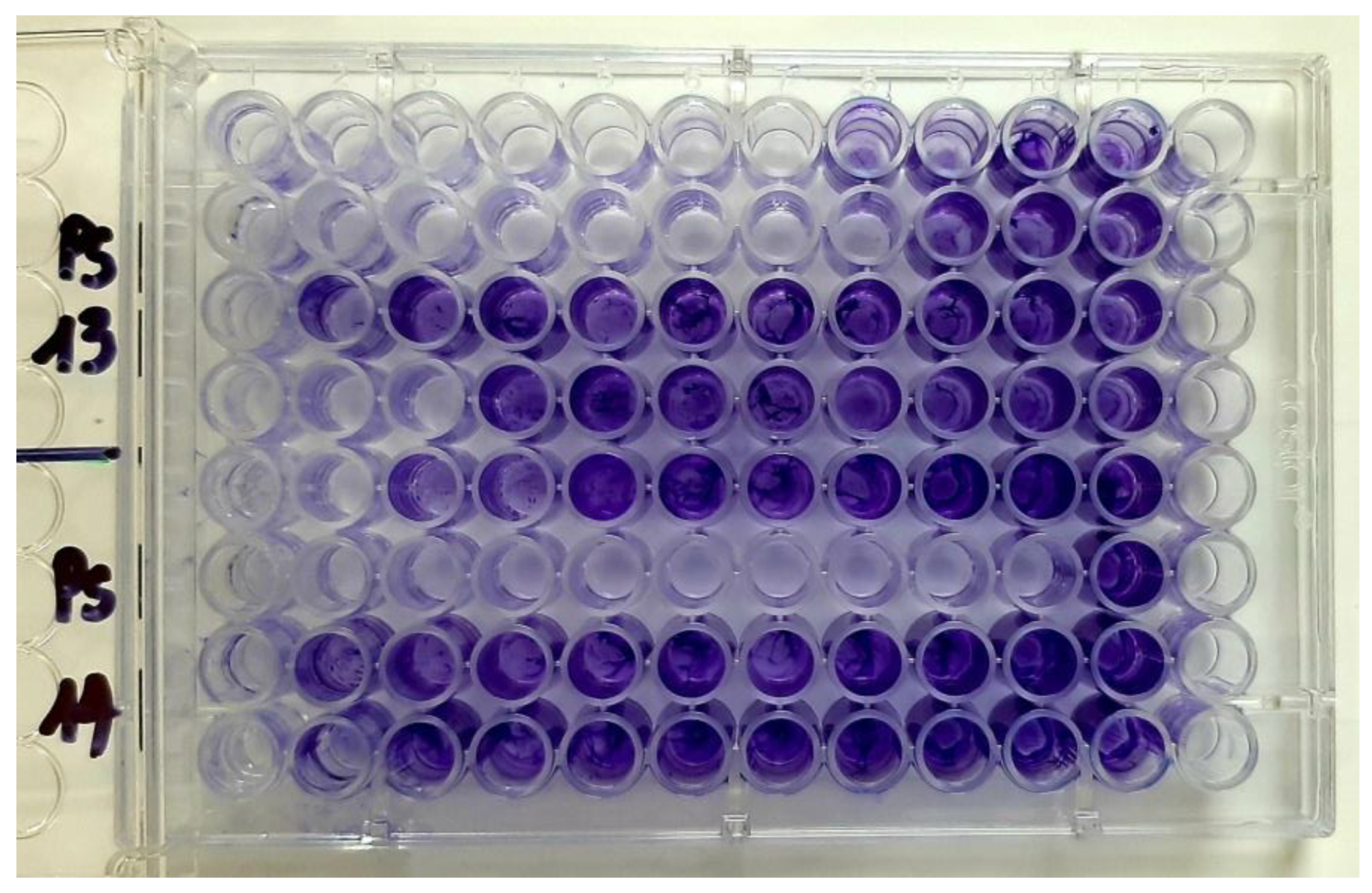 Plants 11 02003 g013 Plants 11 02003 g013