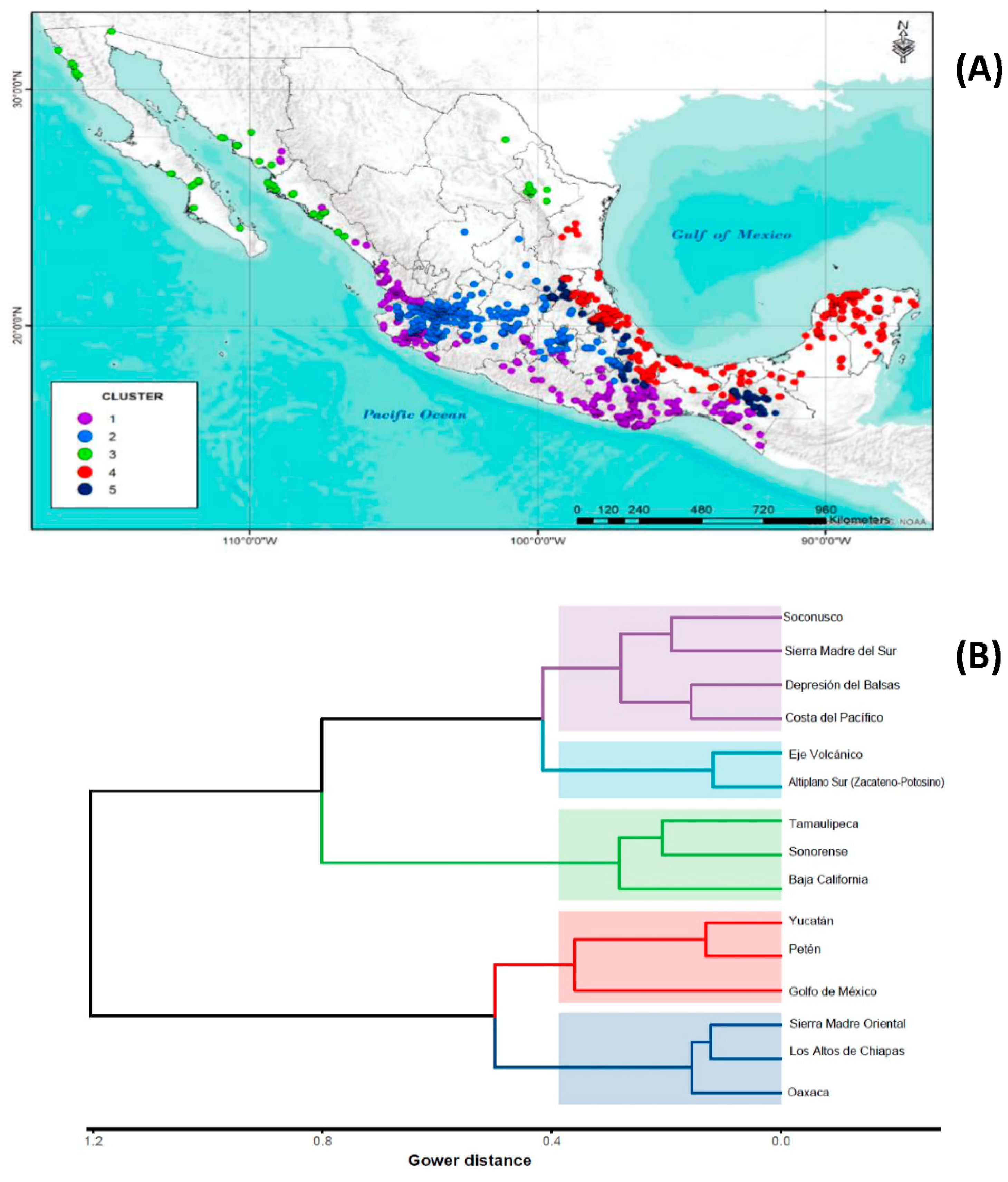 Plants 11 02007 g002 Plants 11 02007 g002
