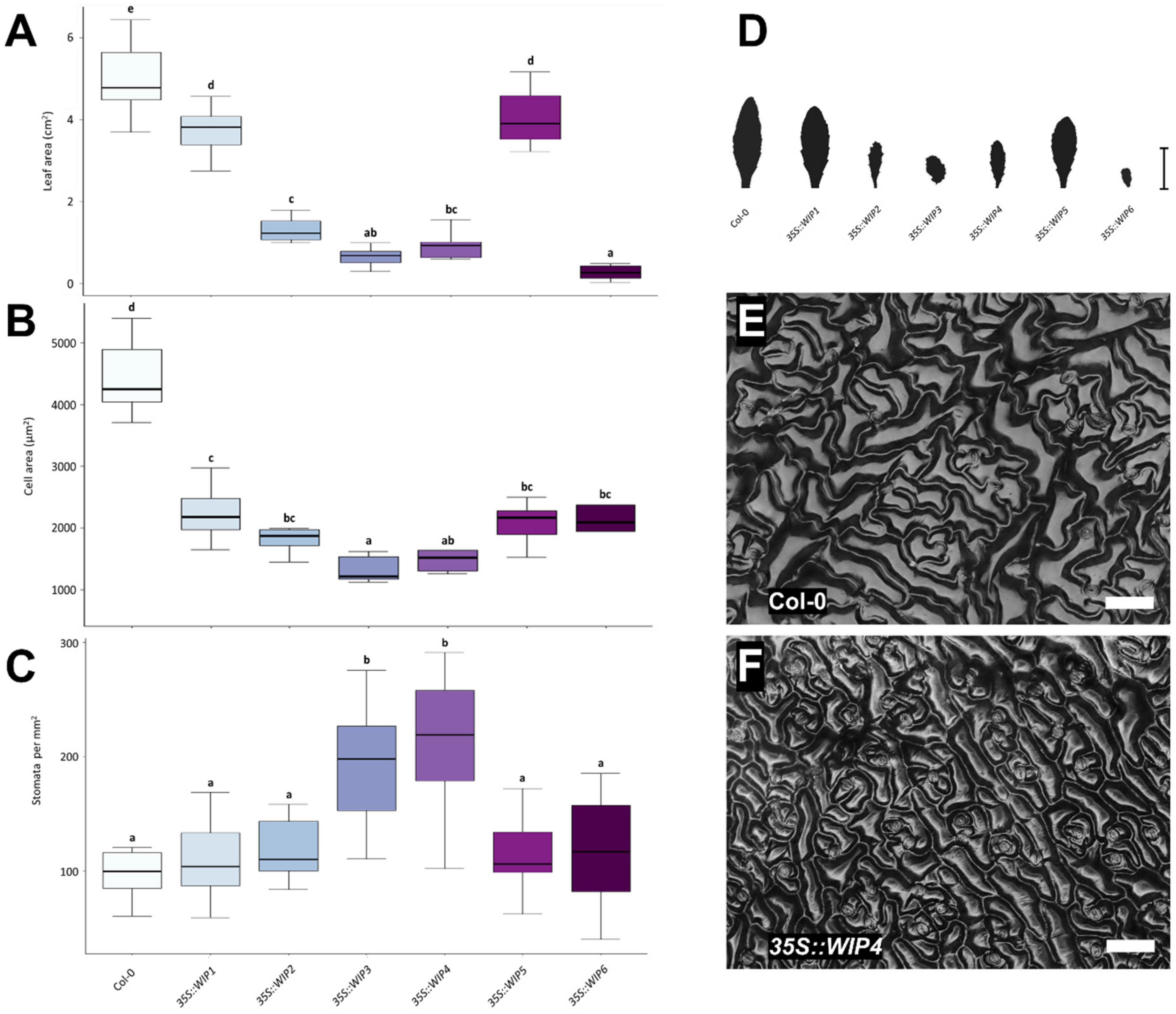 Plants 11 02010 g003 550