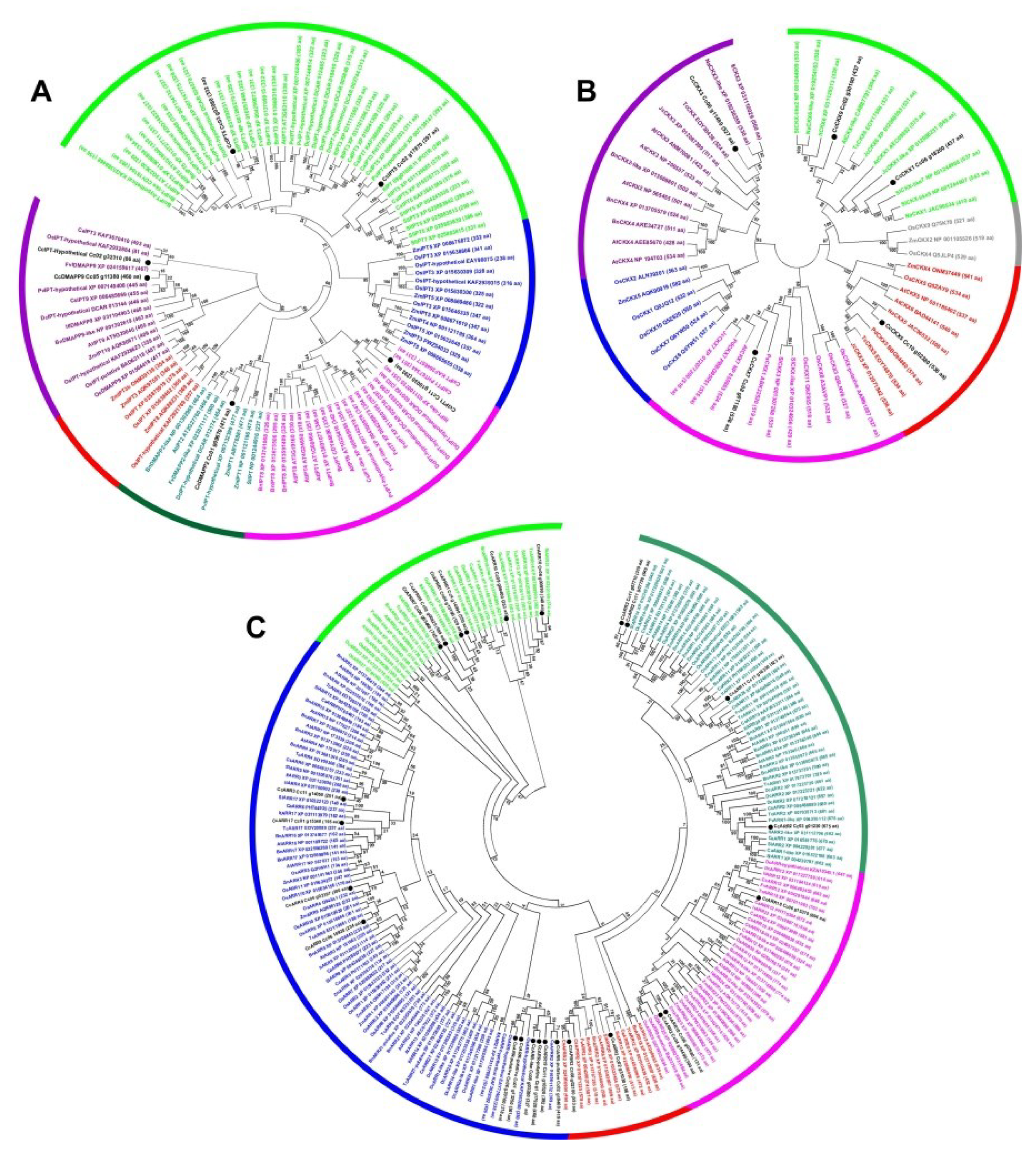Plants 11 02013 g001
