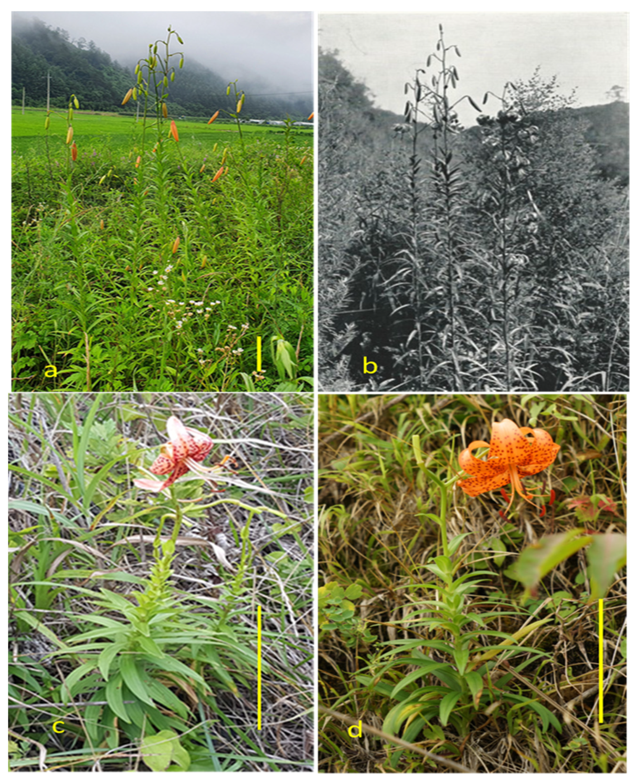 Plants 11 02016 g002 550