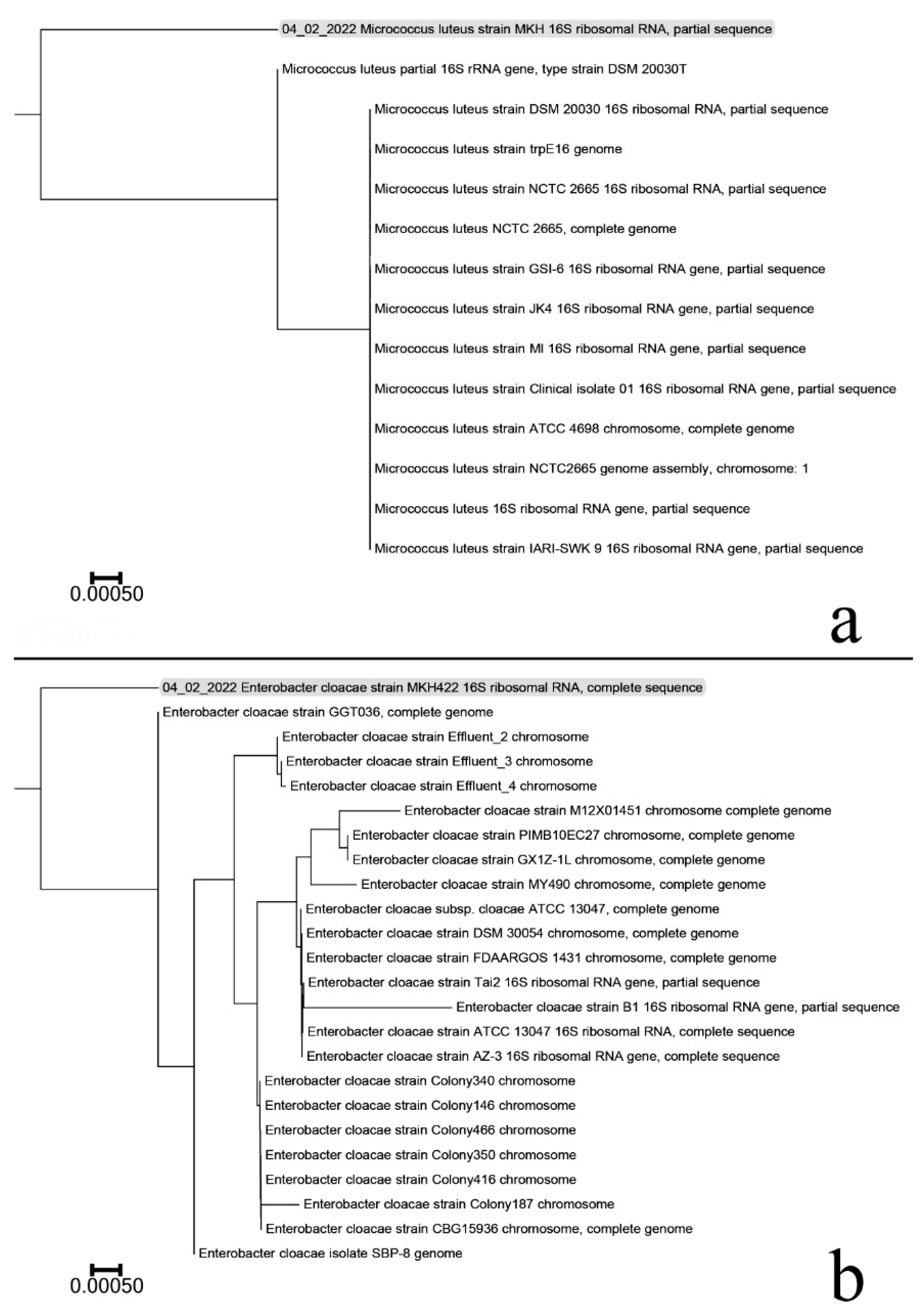 Plants 11 02018 g002