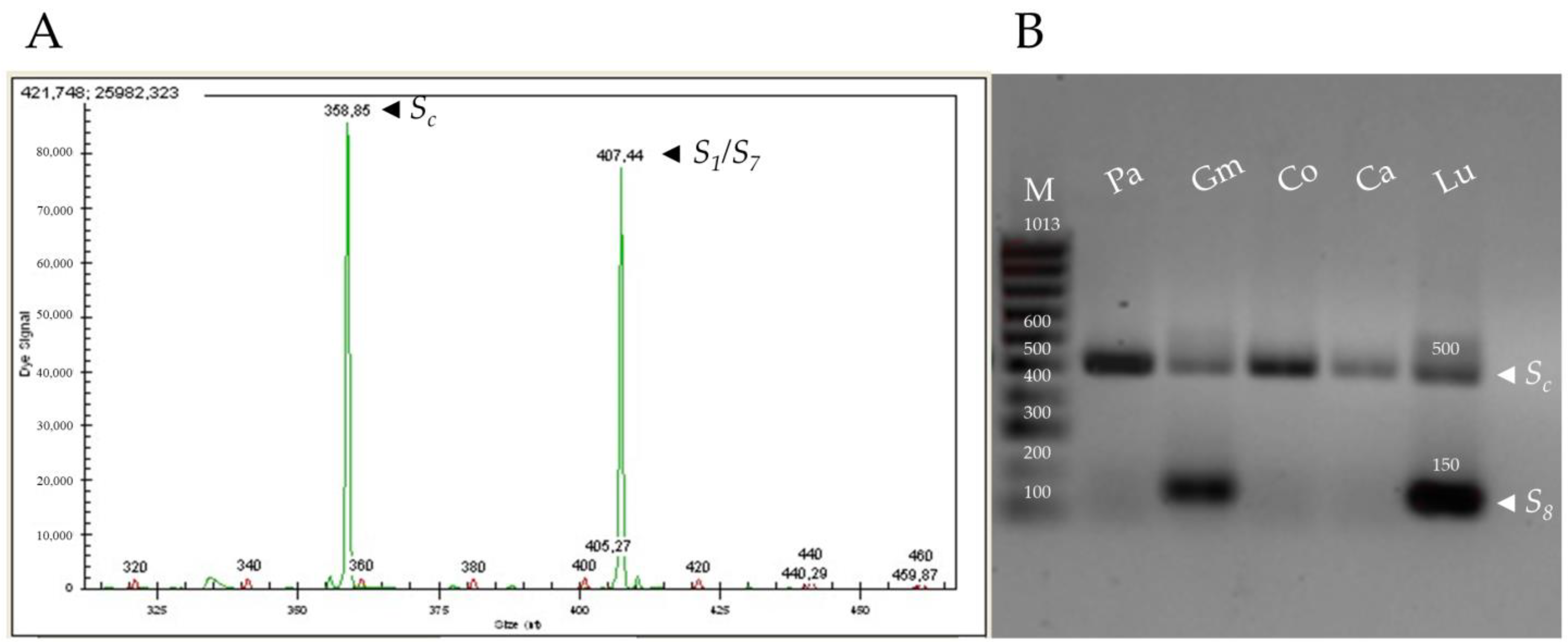 Plants 11 02019 g001