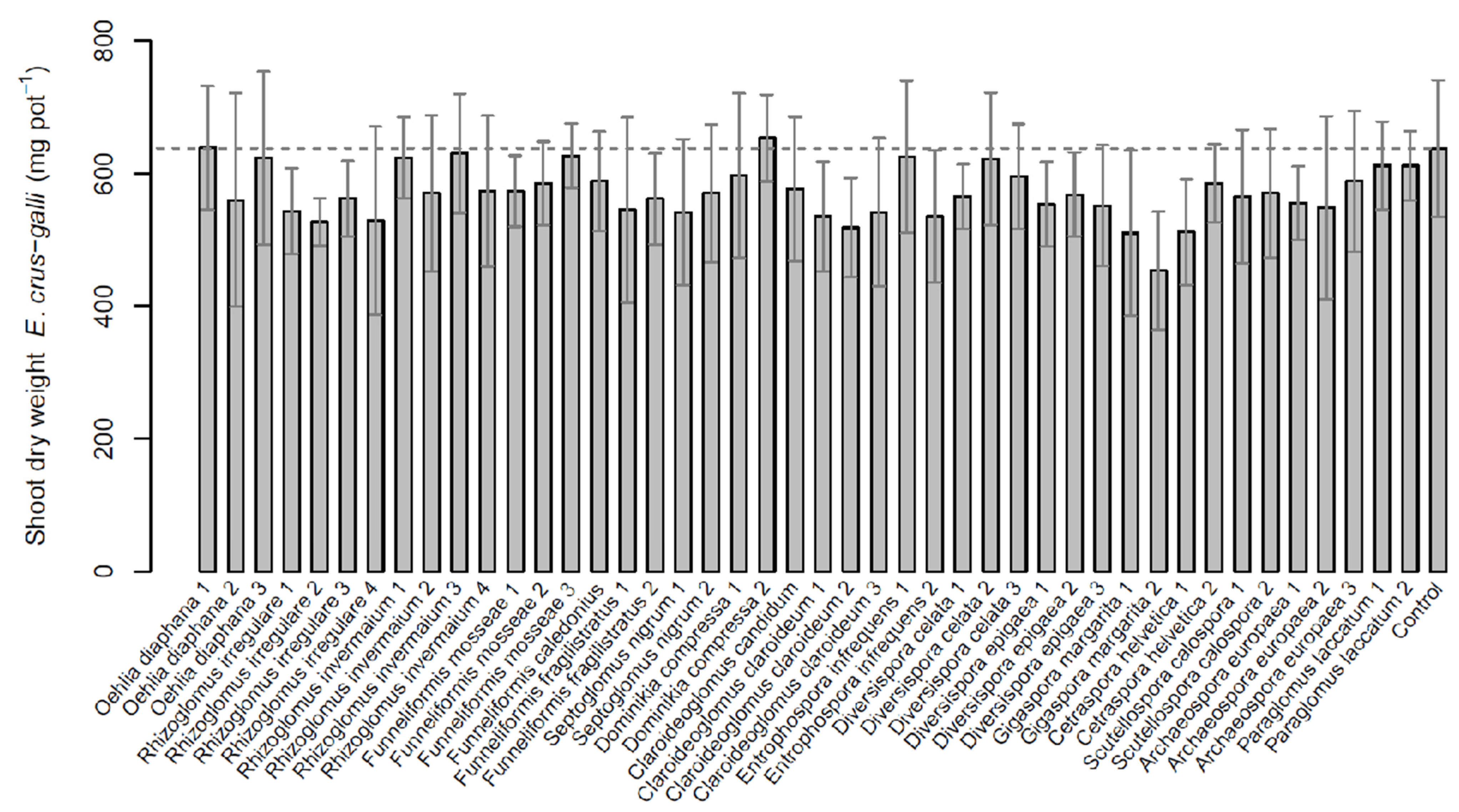 Plants 11 02020 g001