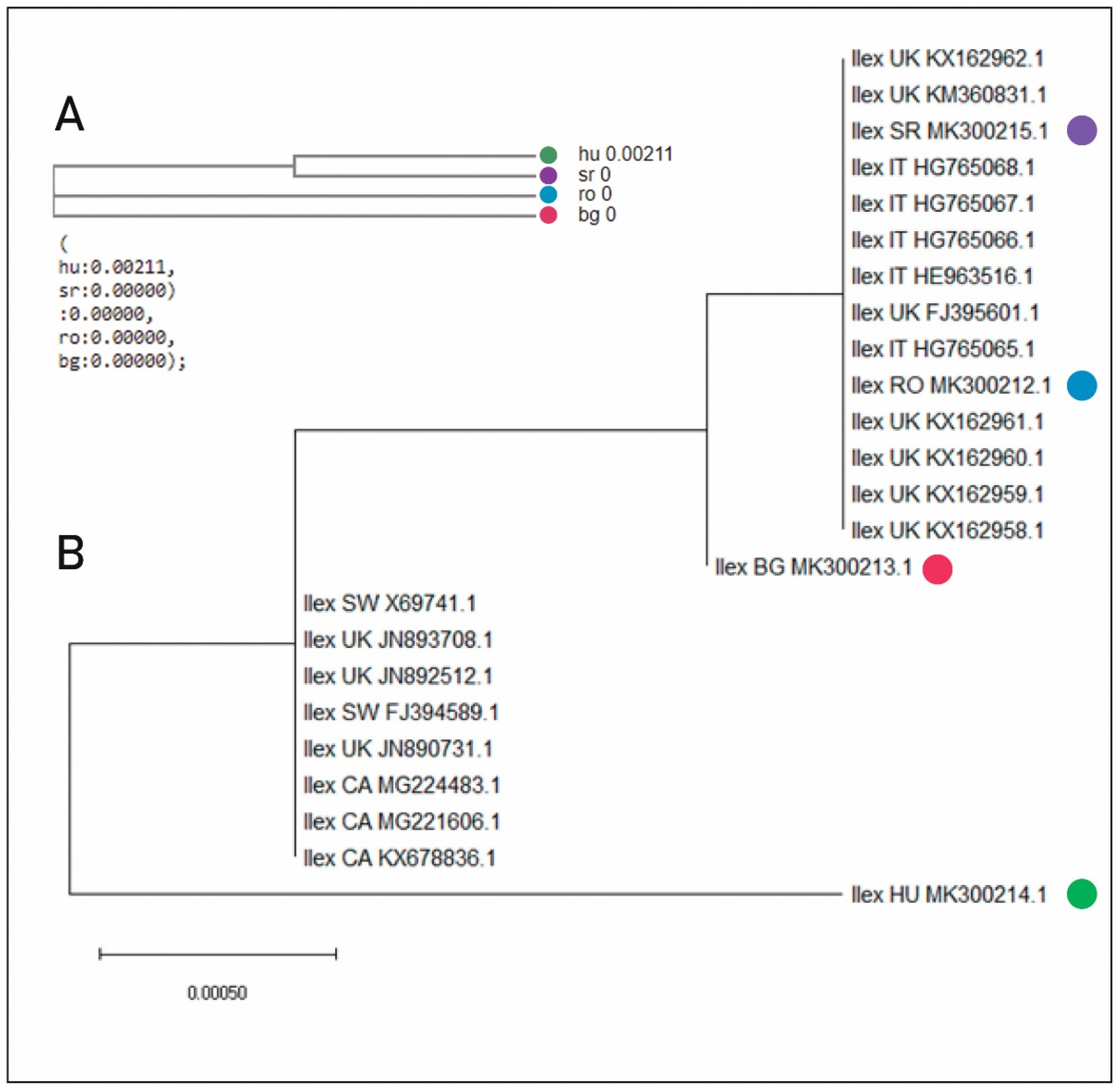 Plants Free Full Text Assessing Phenotypic Variability In Some Eastern European Insular Populations Of The Climatic Relict Ilex Aquifolium L Html Plants Free Full Text Assessing Phenotypic Variability In Some Eastern European Insular Populations Of The Climatic Relict Ilex Aquifolium L Html