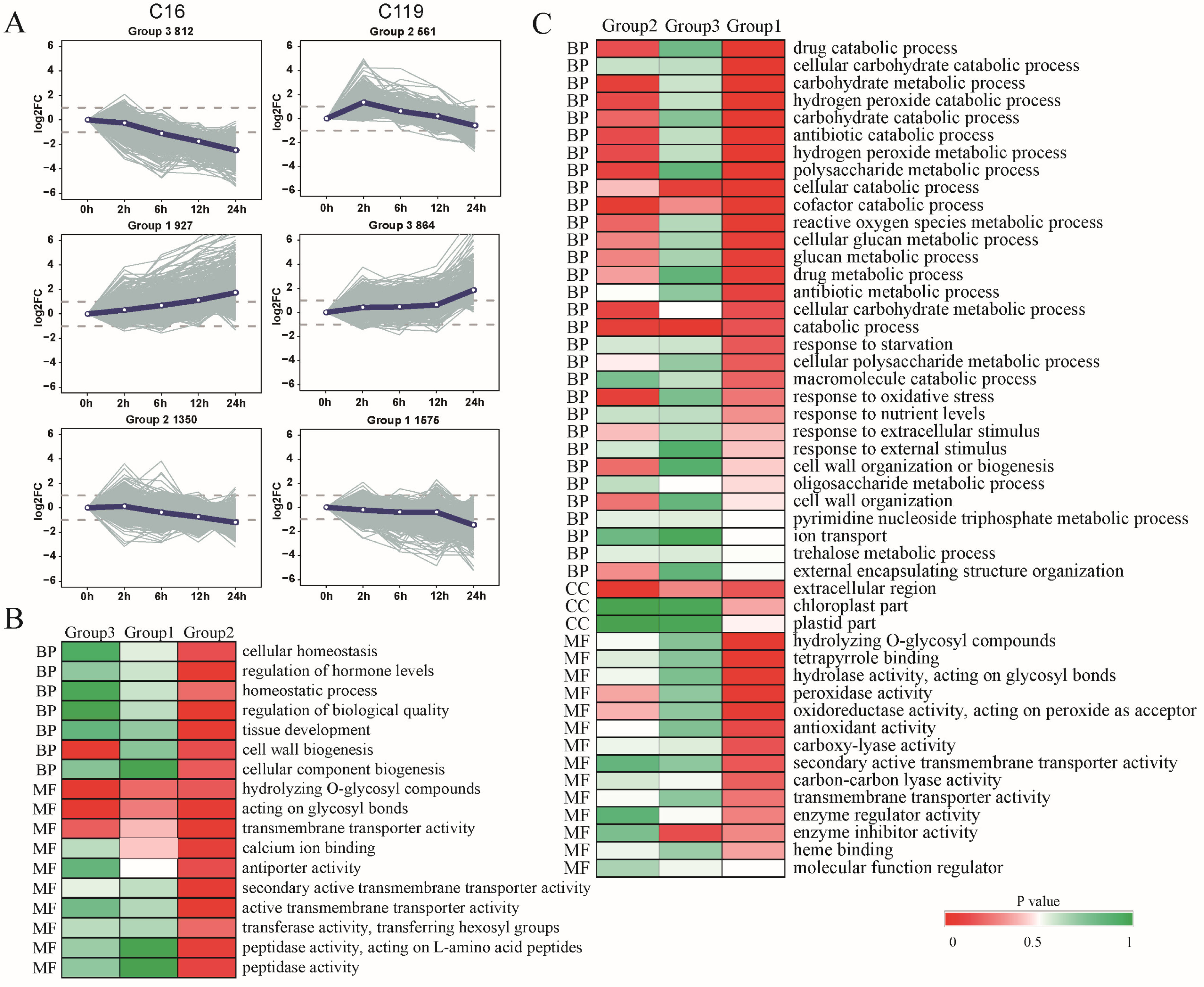 Plants 11 02024 g003 Plants 11 02024 g003