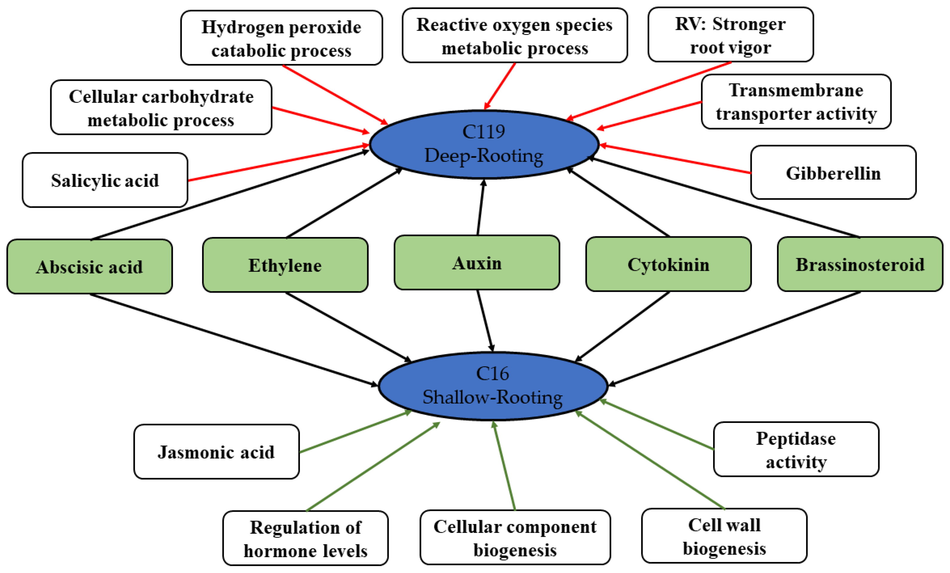 Plants 11 02024 g009 Plants 11 02024 g009
