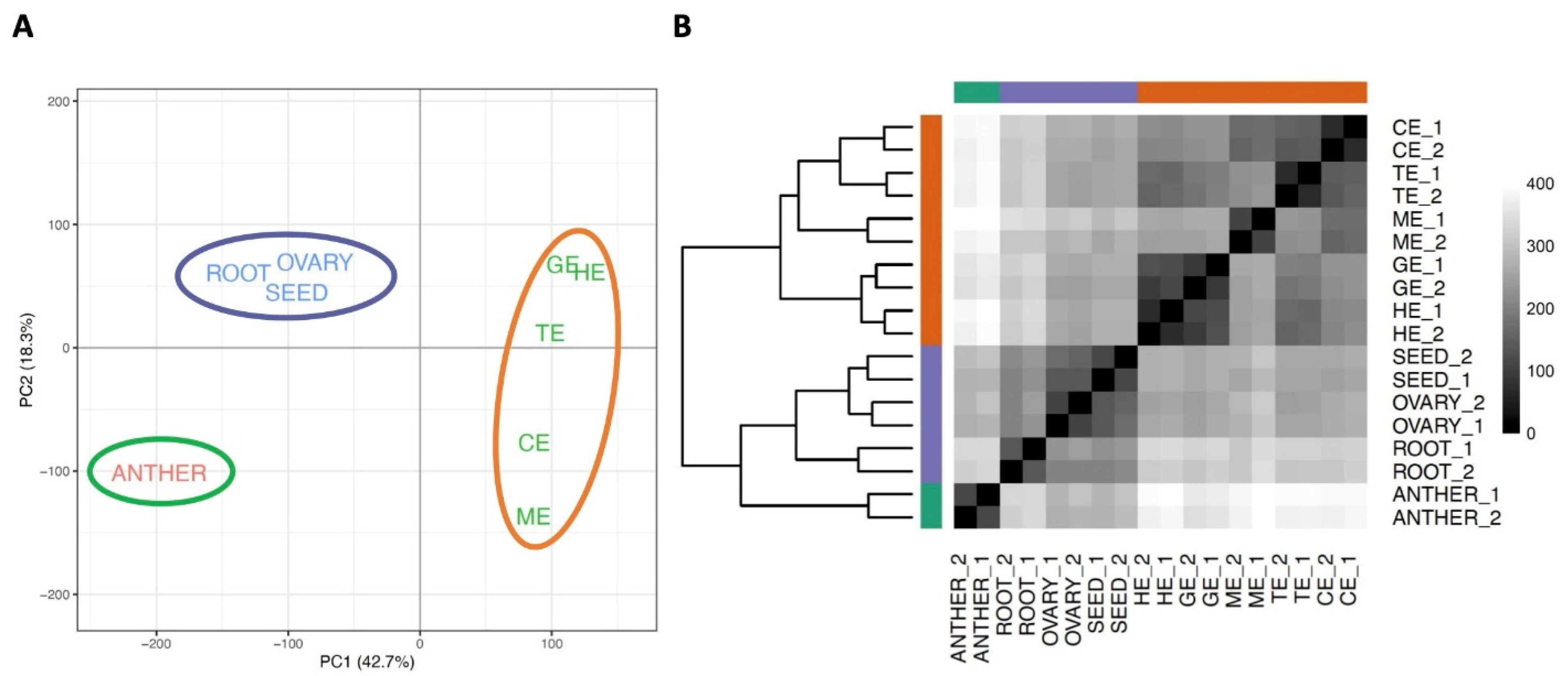 Plants 11 02031 g001 550