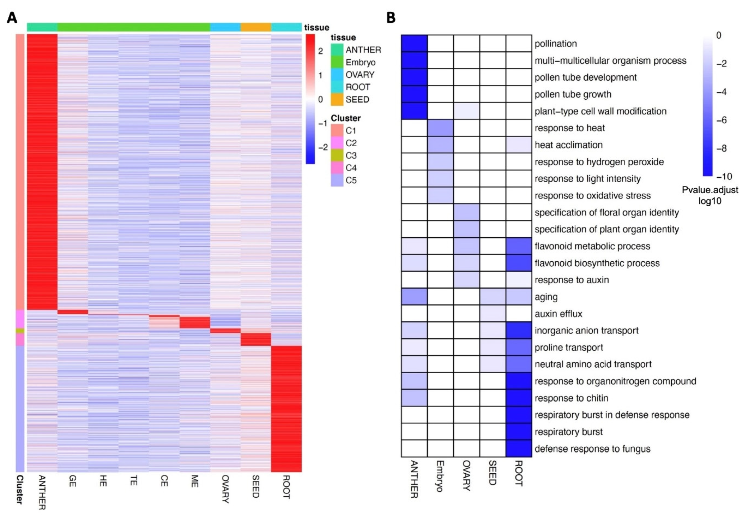Plants 11 02031 g003 550